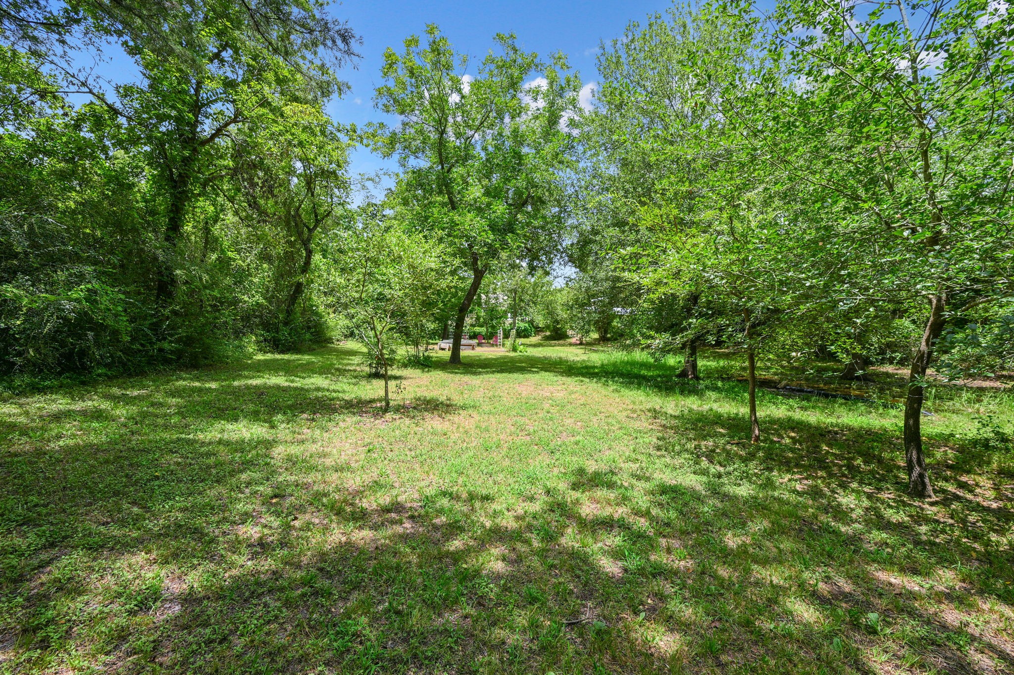 733 Eagle Pass Street Property Photo 8
