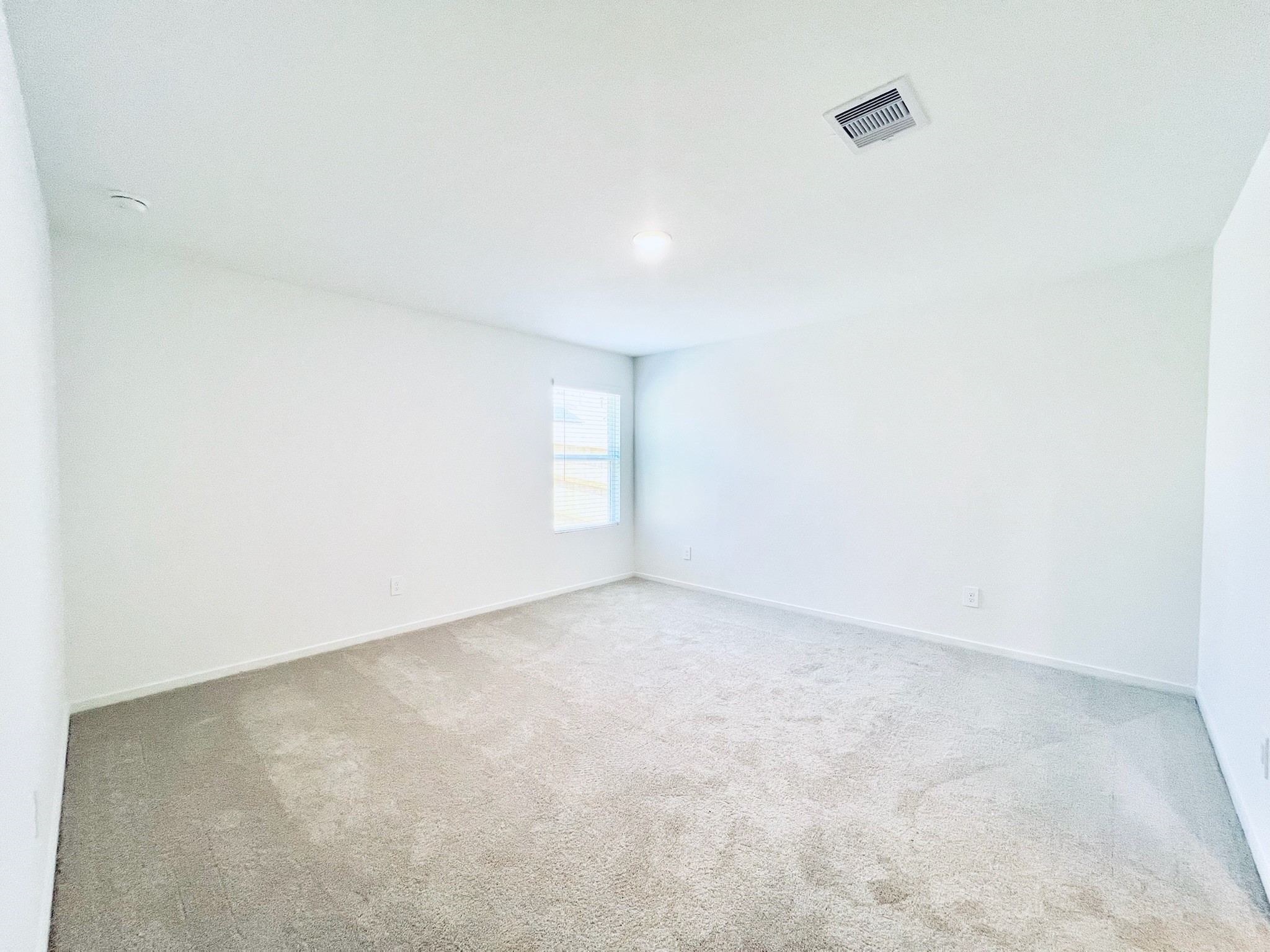 3011 Mallorca Drive Property Photo 7
