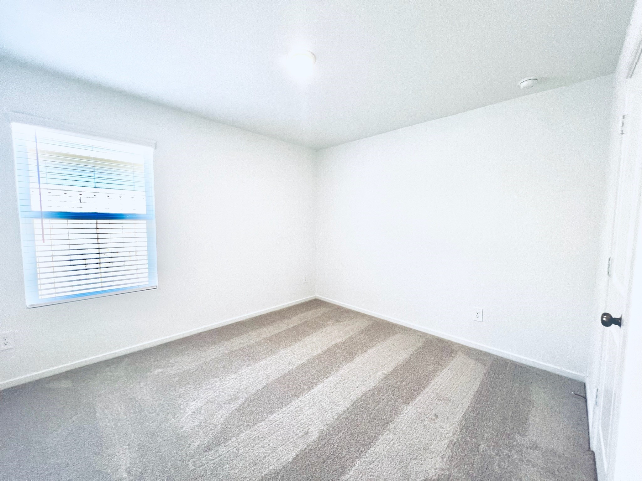 3011 Mallorca Drive Property Photo 11