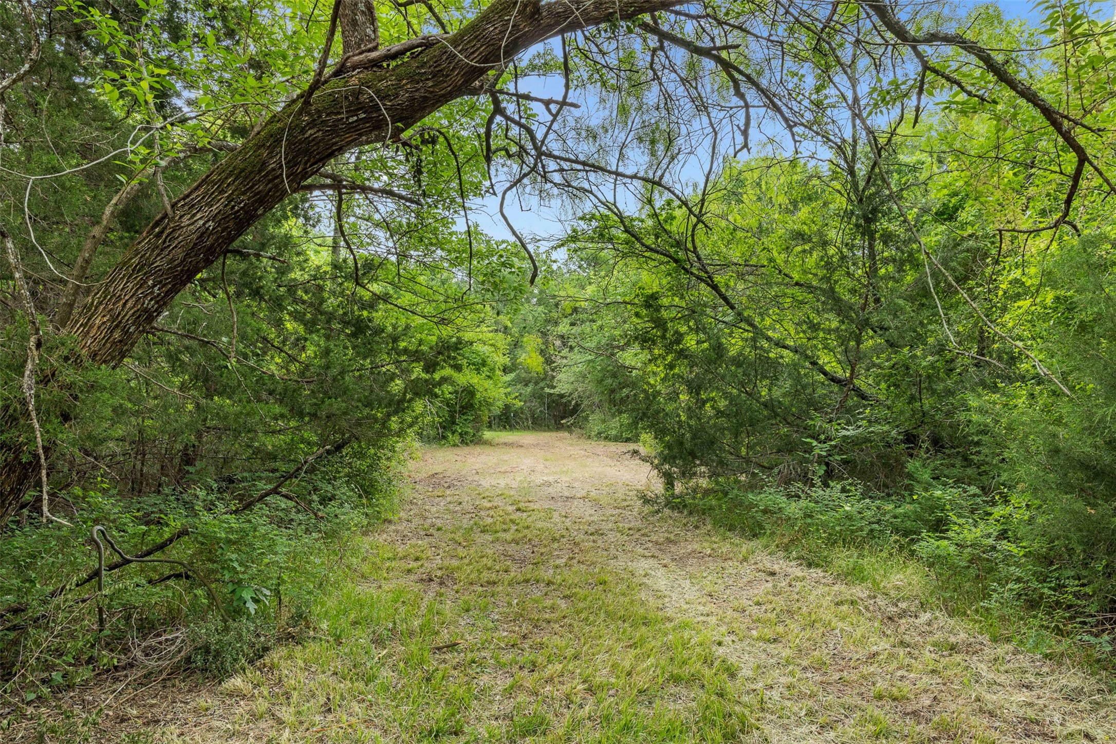 3797 County Road 328 Property Photo 1