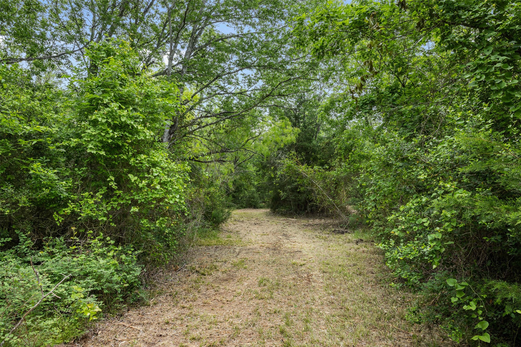 3797 County Road 328 Property Photo 2