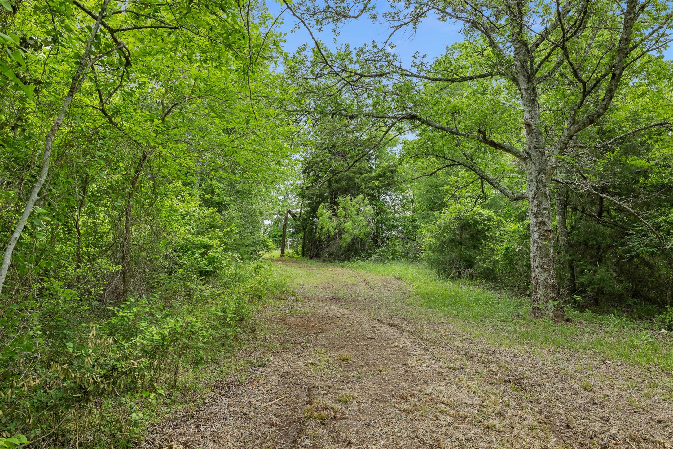 3797 County Road 328 Property Photo 4
