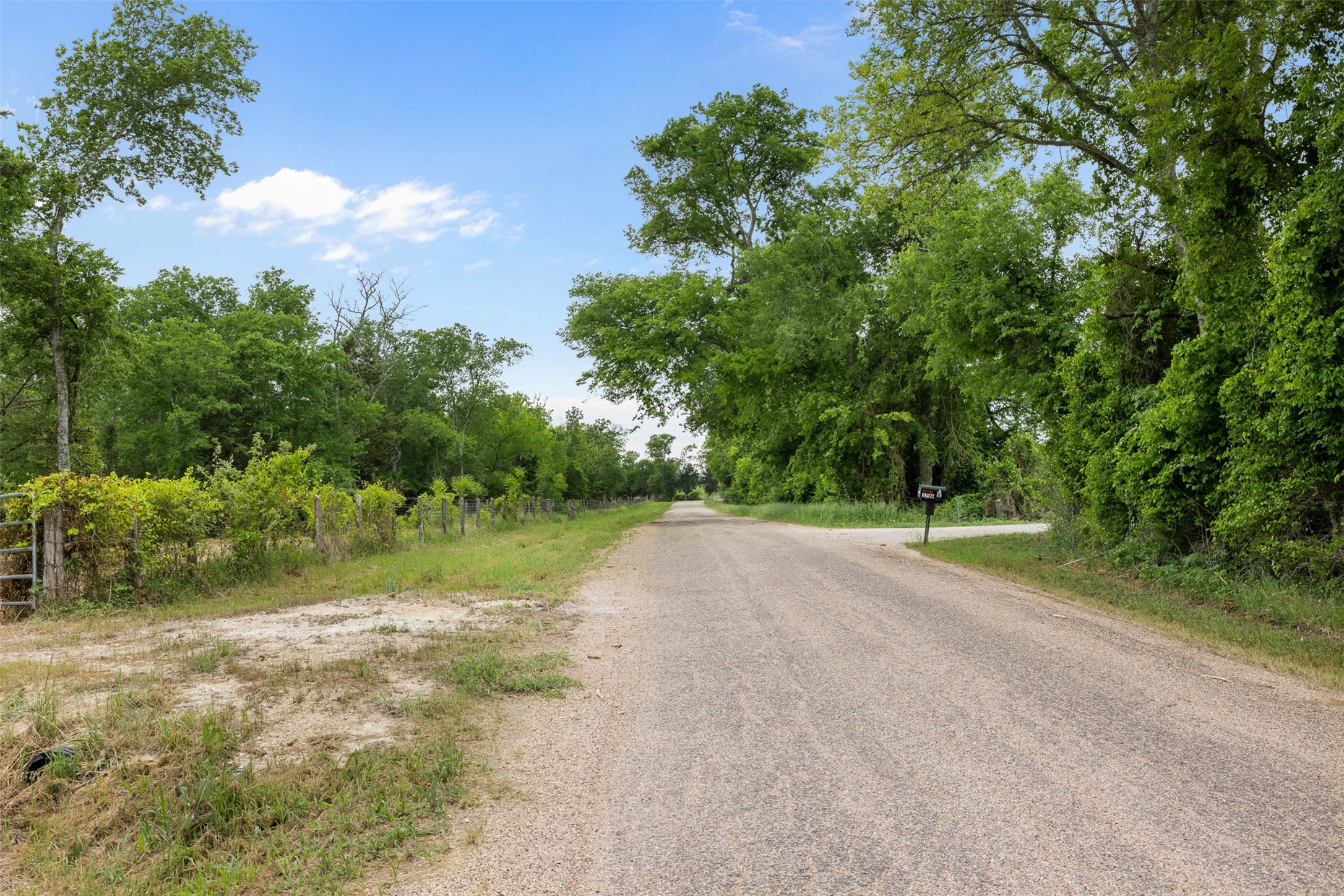 3797 County Road 328 Property Photo 6