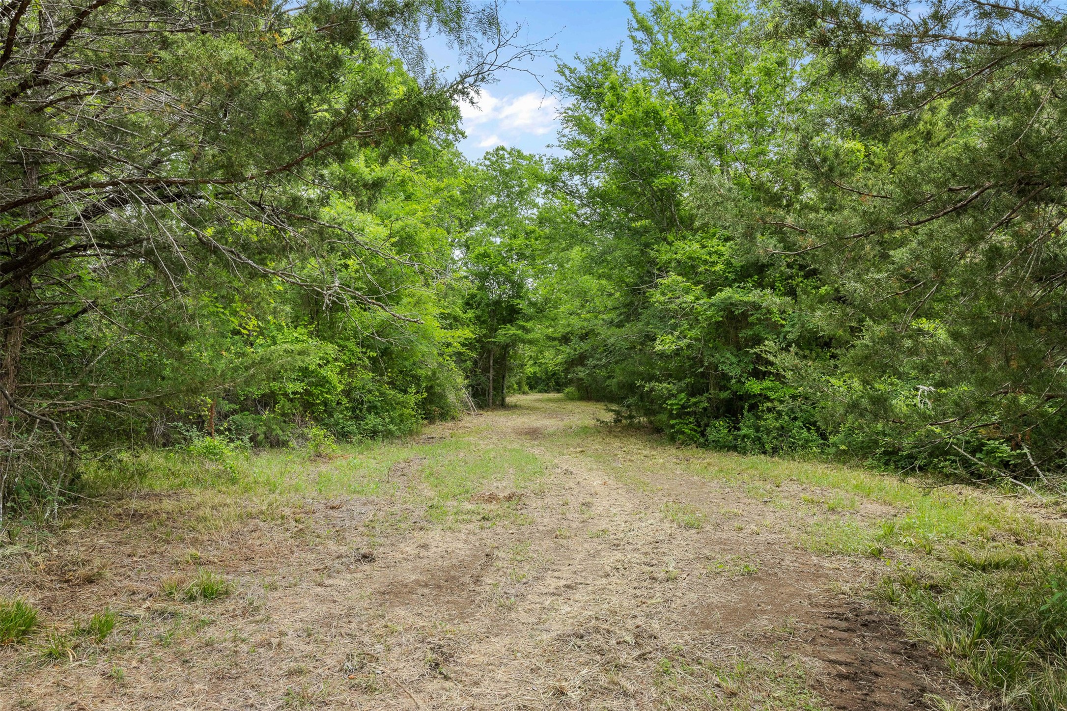 3797 County Road 328 Property Photo 11