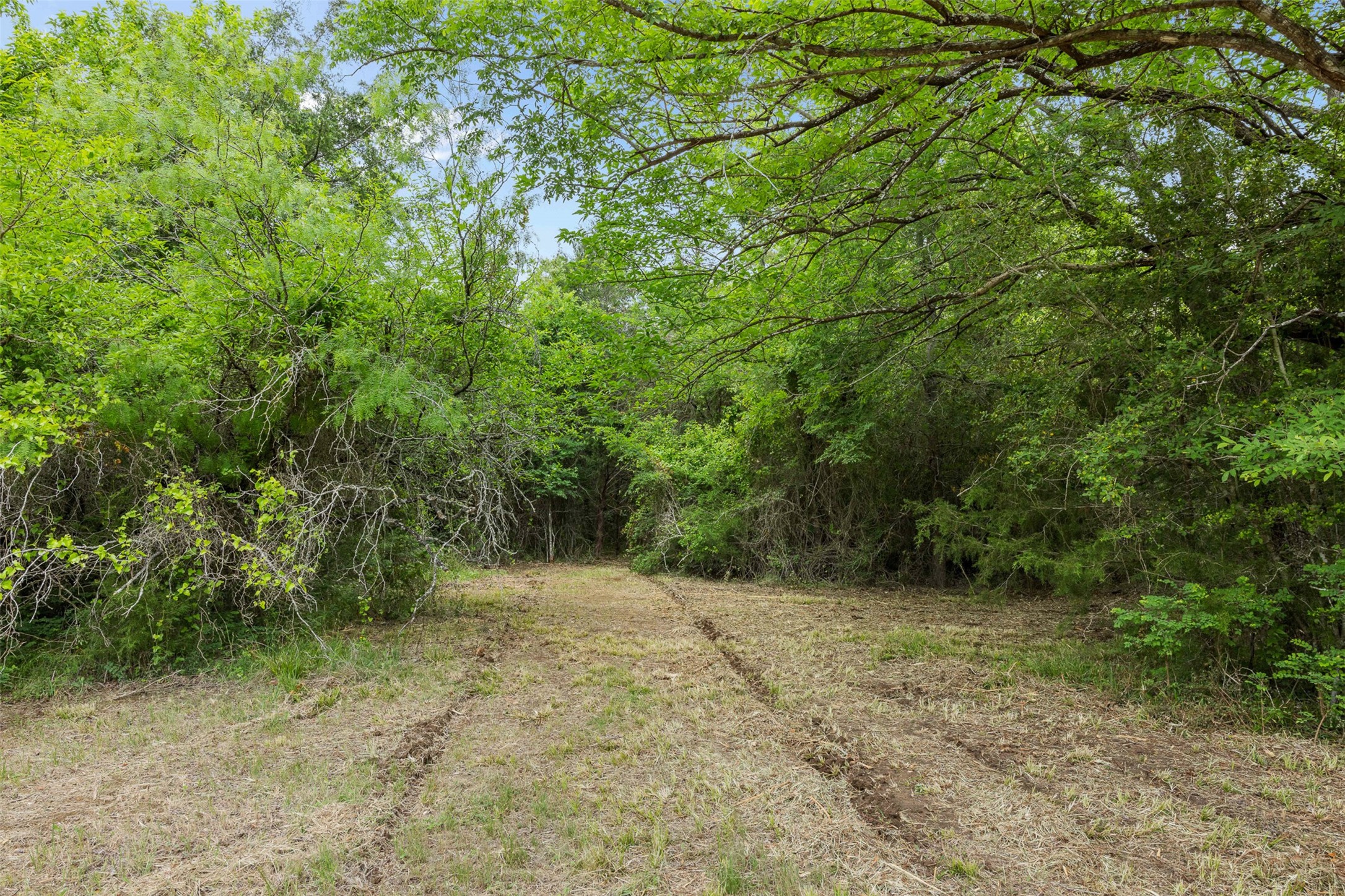3797 County Road 328 Property Photo 12