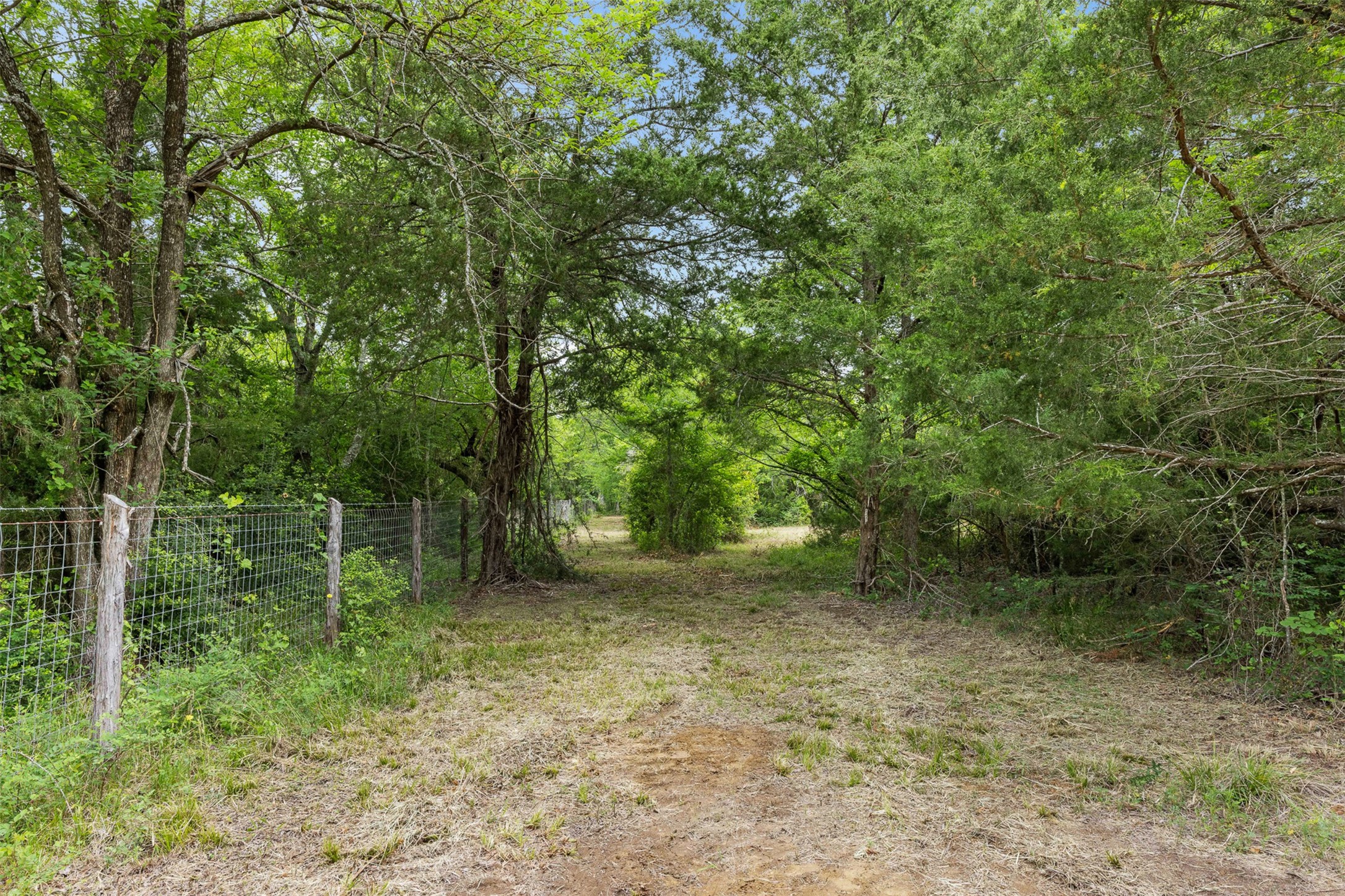 3797 County Road 328 Property Photo 13