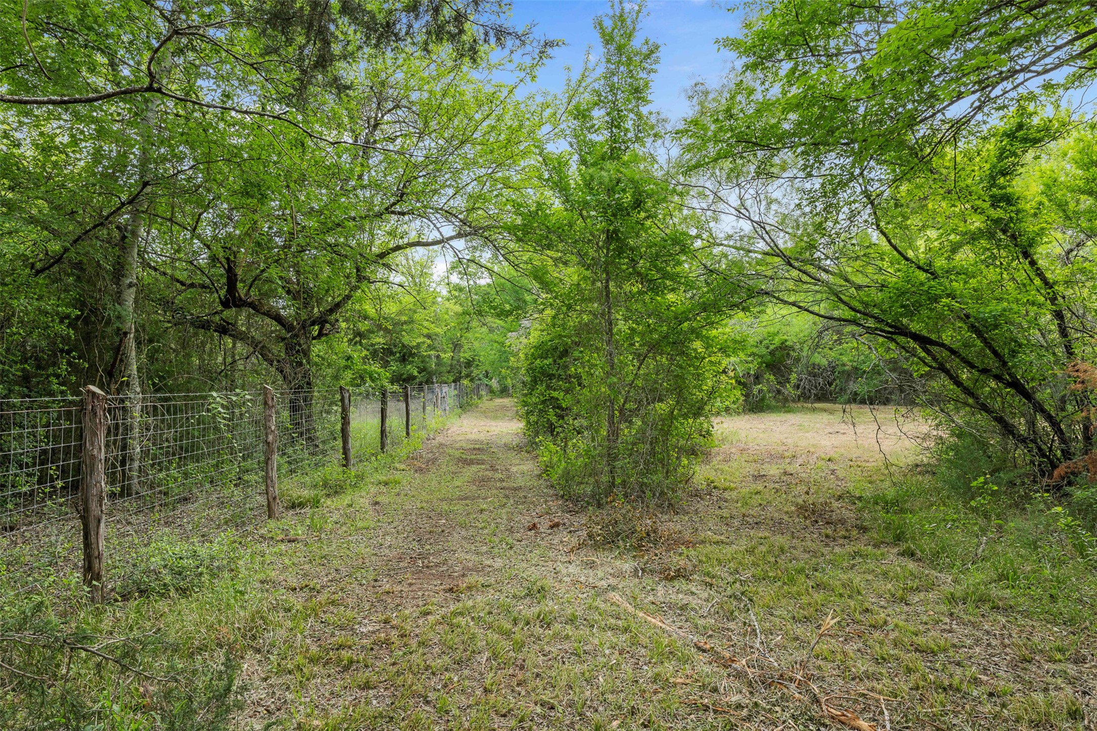 3797 County Road 328 Property Photo 16