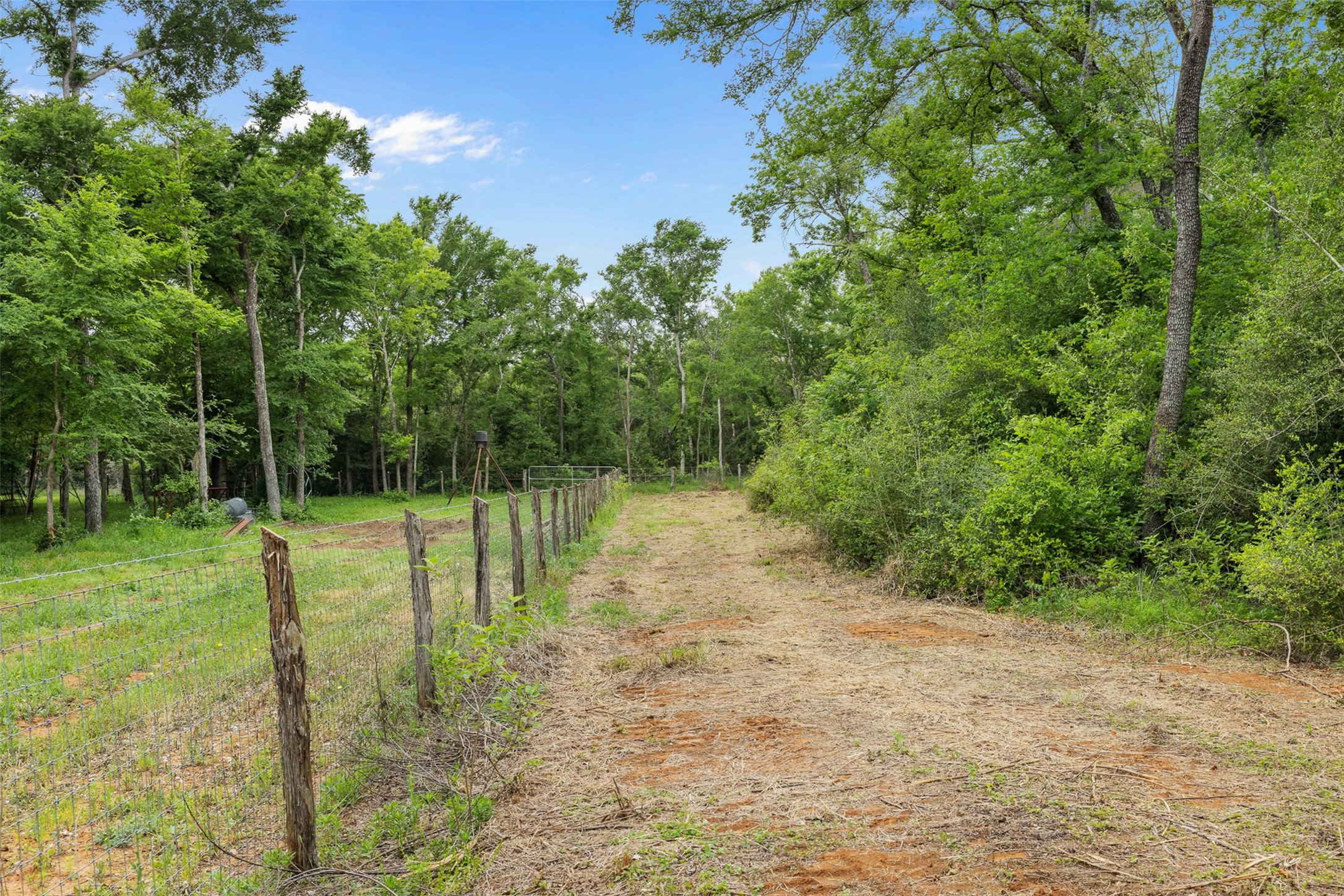 3797 County Road 328 Property Photo 17