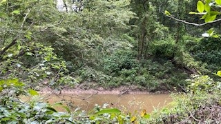 0 Rollingwood Loop Property Photo 10
