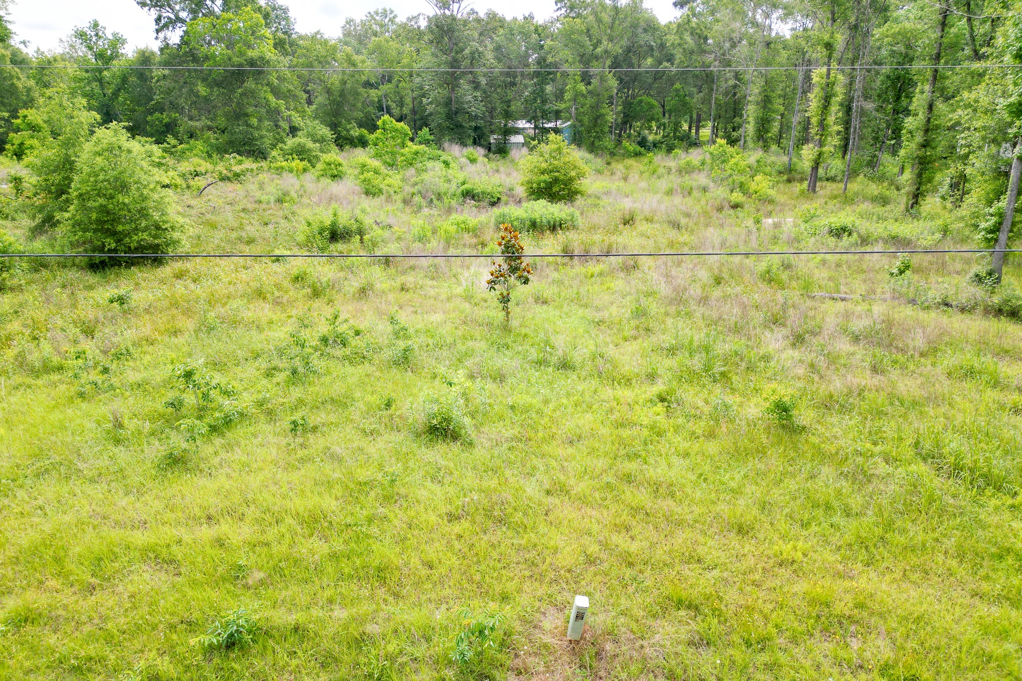 664 County Road 2146 Property Photo 4