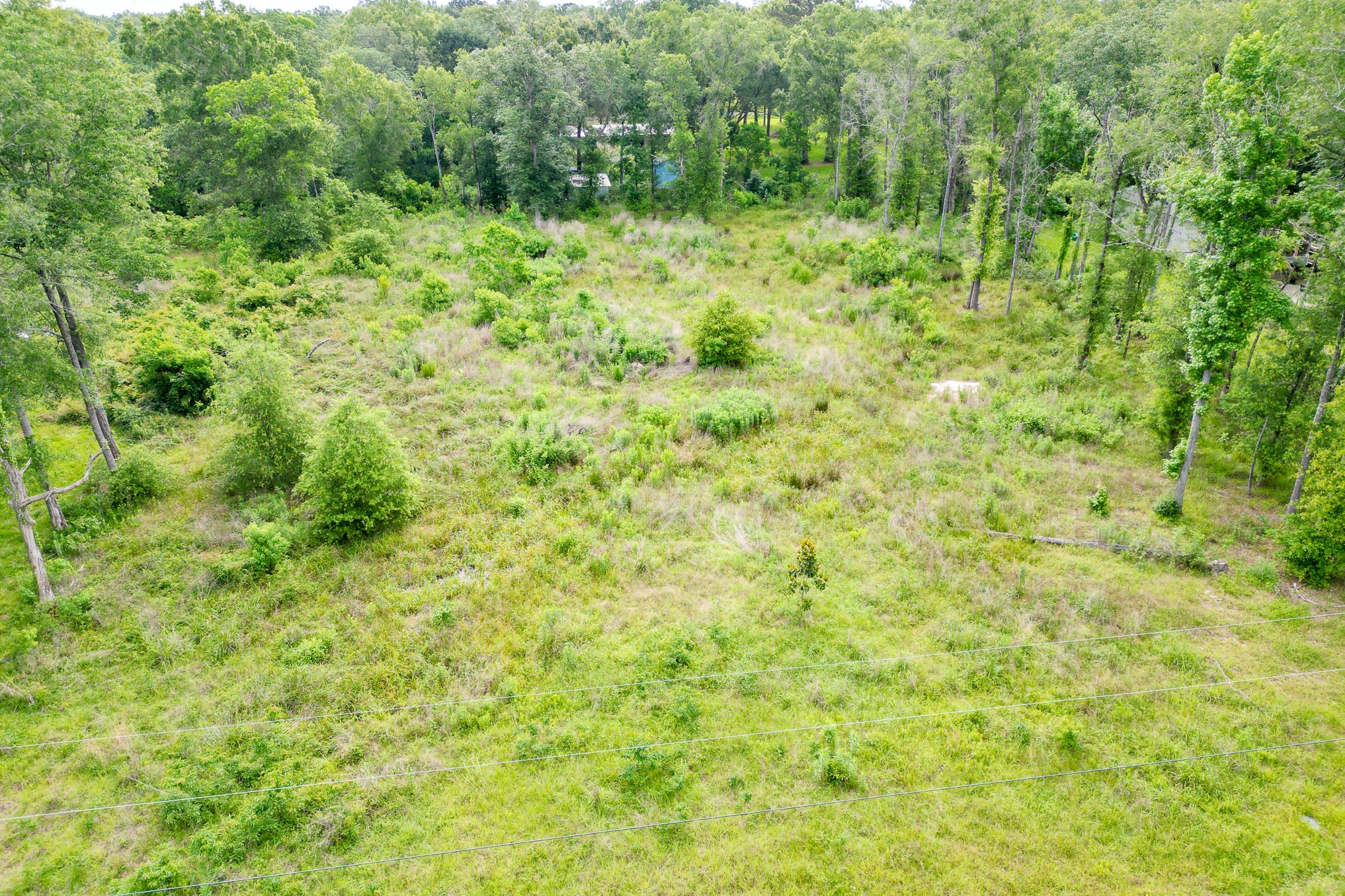 664 County Road 2146 Property Photo 5