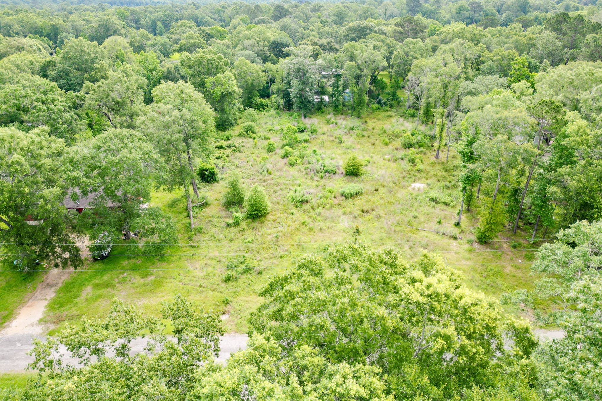 664 County Road 2146 Property Photo 29