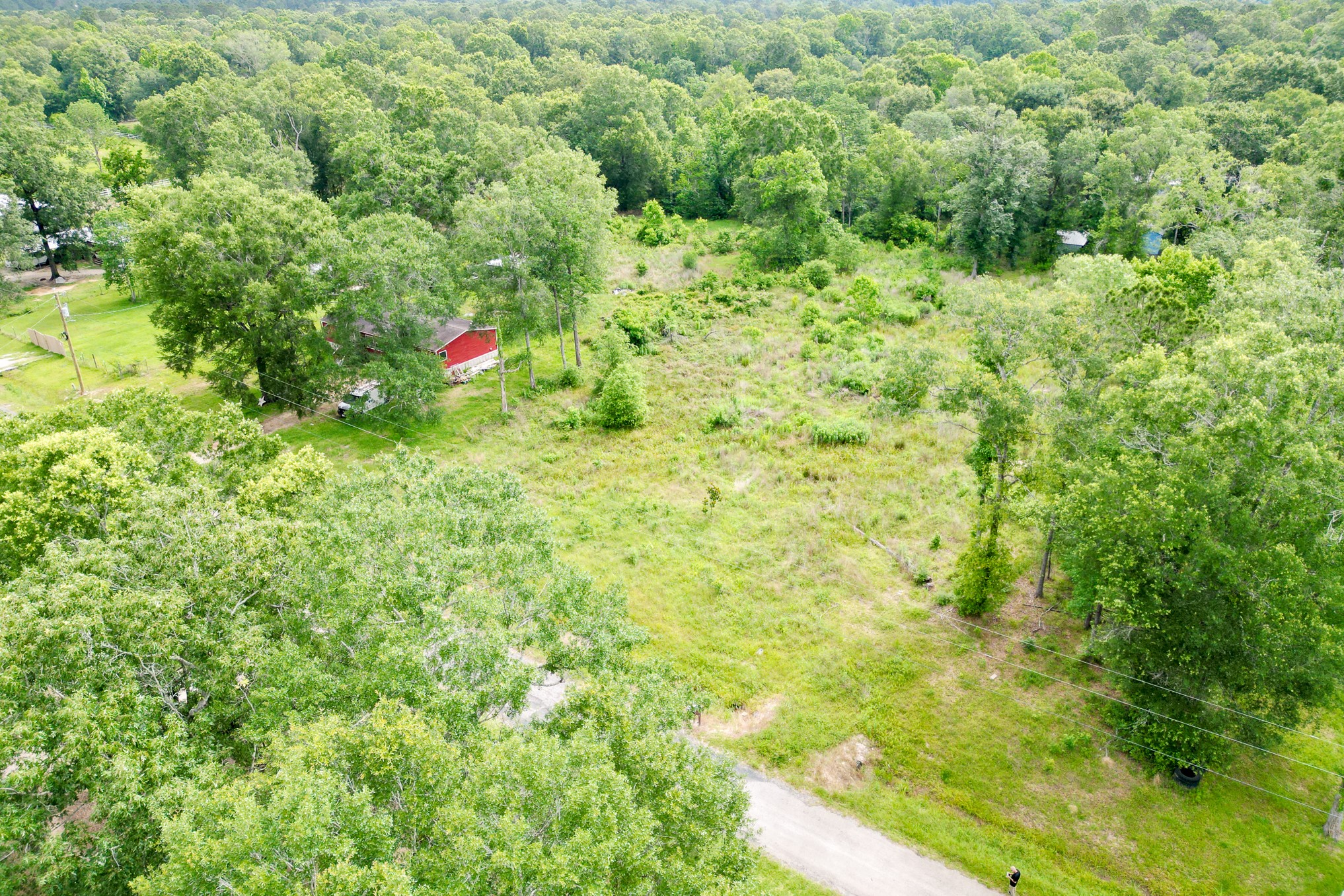 664 County Road 2146 Property Photo 30
