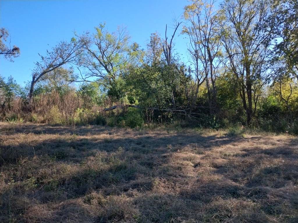 707 E Broadway Street Property Photo 1