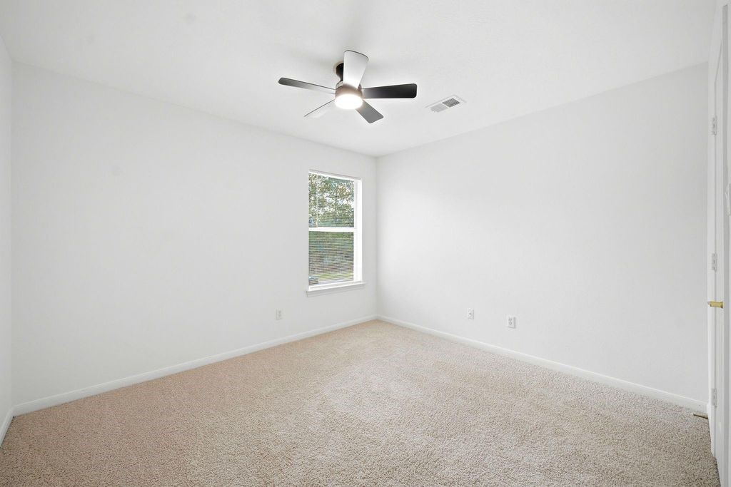 22907 Squirrel Tree Street Property Photo 29