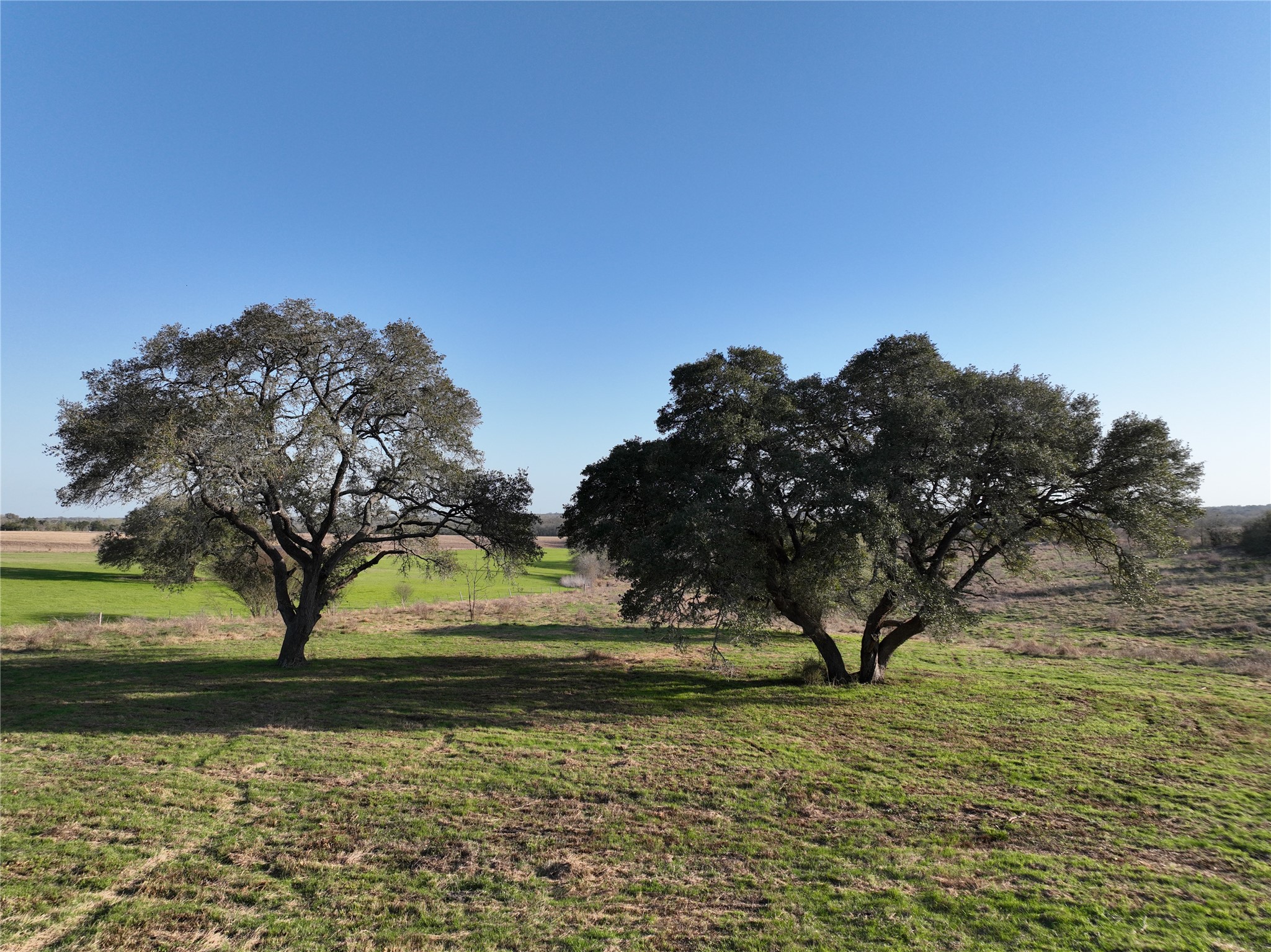 00 Boehnemann Property Photo