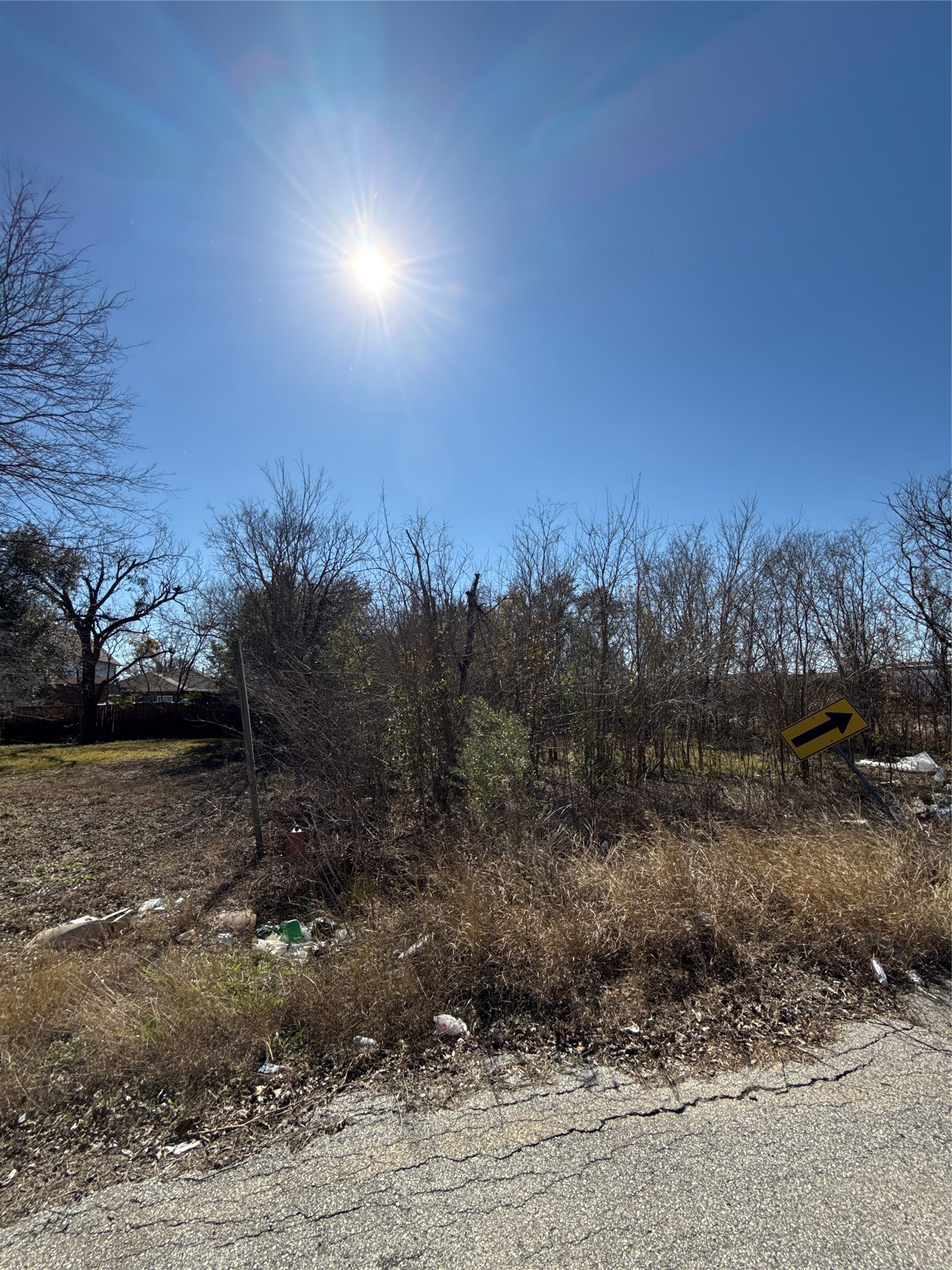7726 Booker Street Property Photo 5