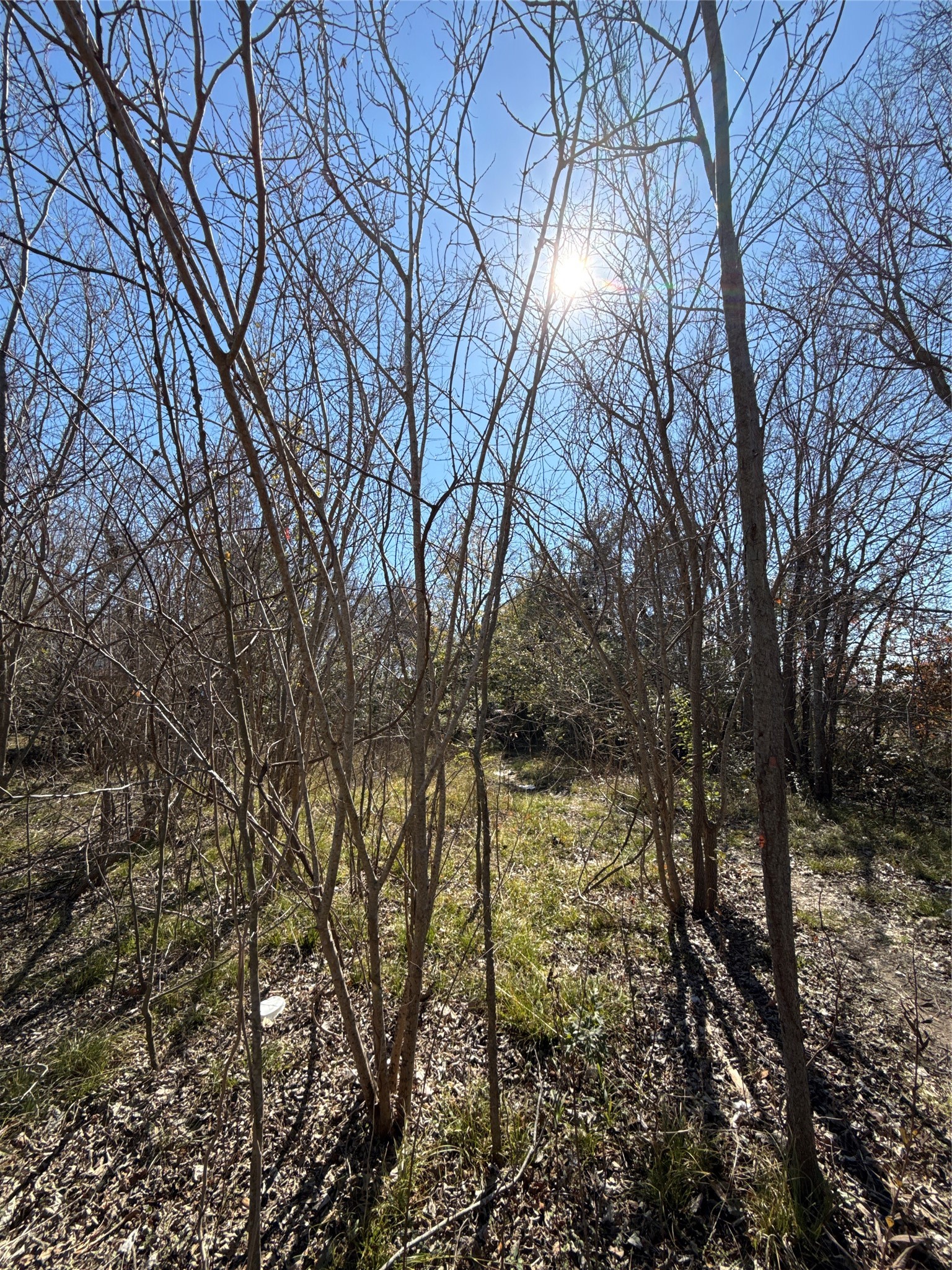 7726 Booker Street Property Photo 7