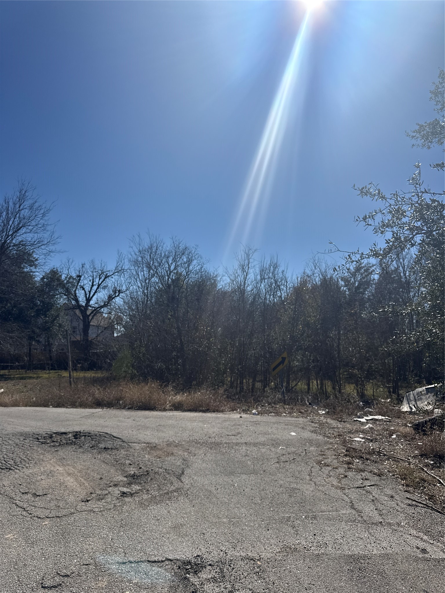 7726 Booker Street Property Photo 8