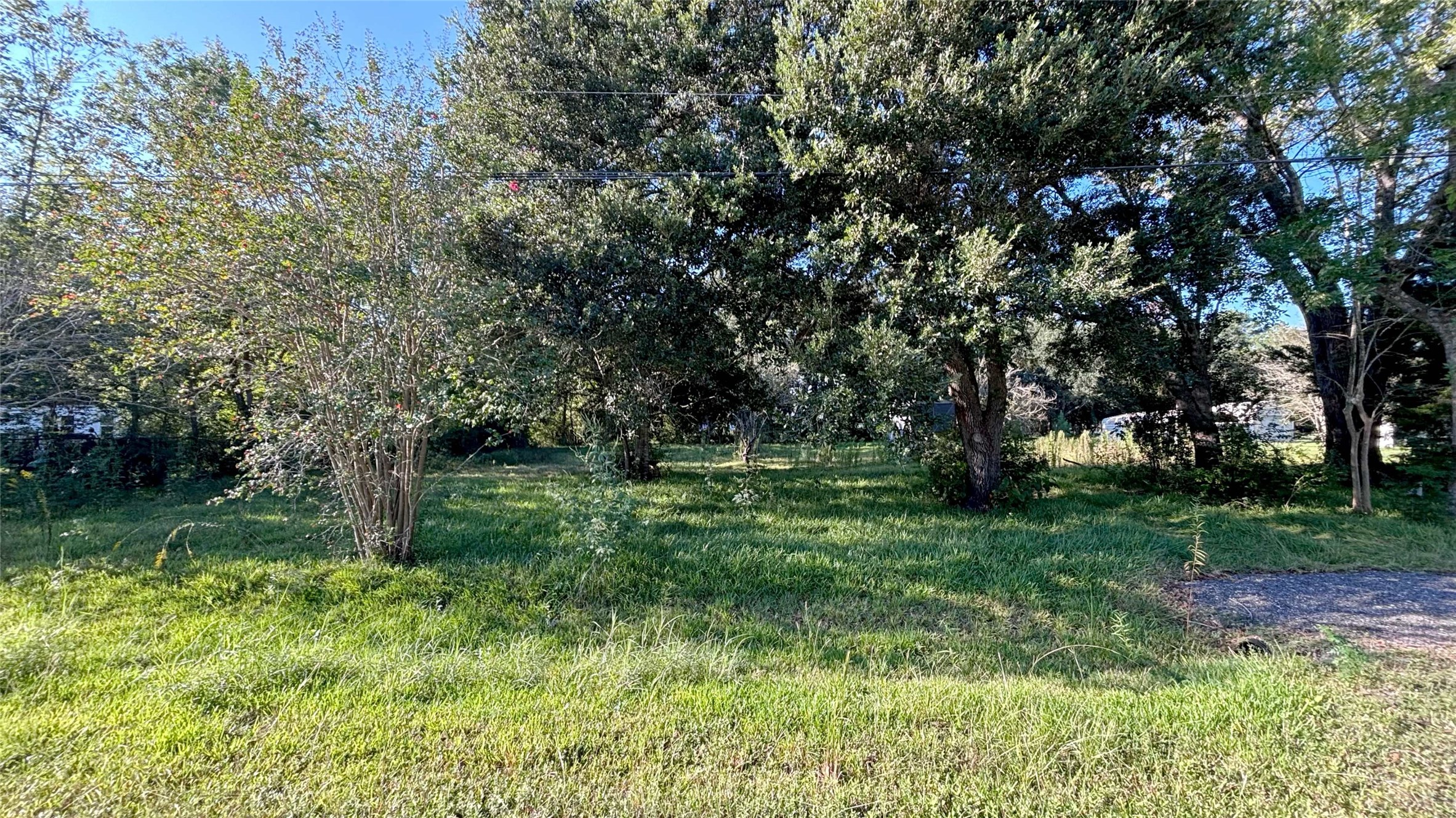 19101 Forest Street Property Photo 1