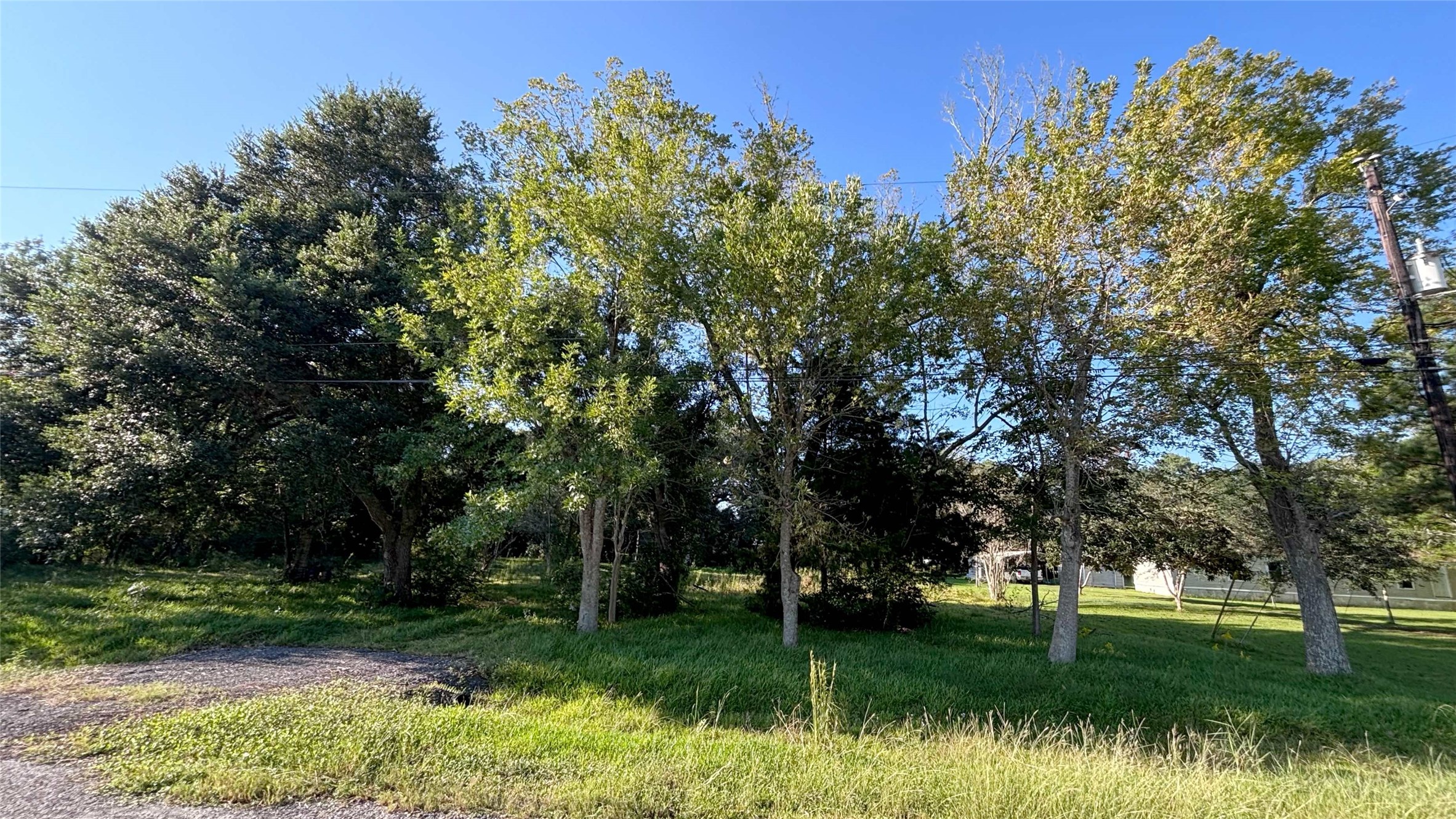 19101 Forest Street Property Photo 1