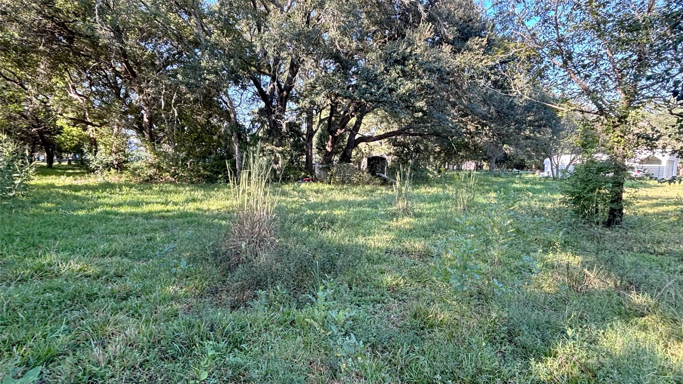 19101 Forest Street Property Photo 3