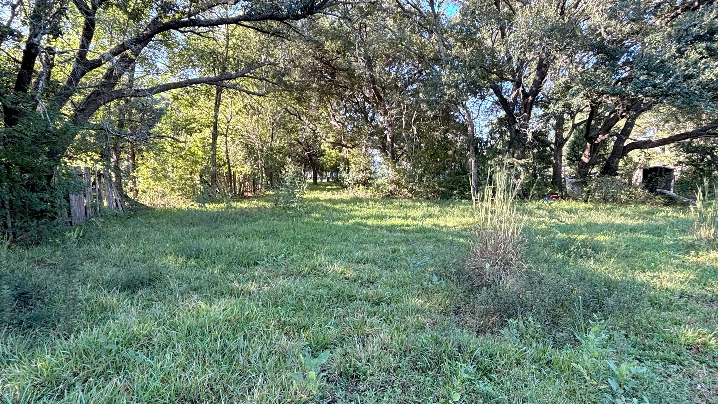 19101 Forest Street Property Photo 6