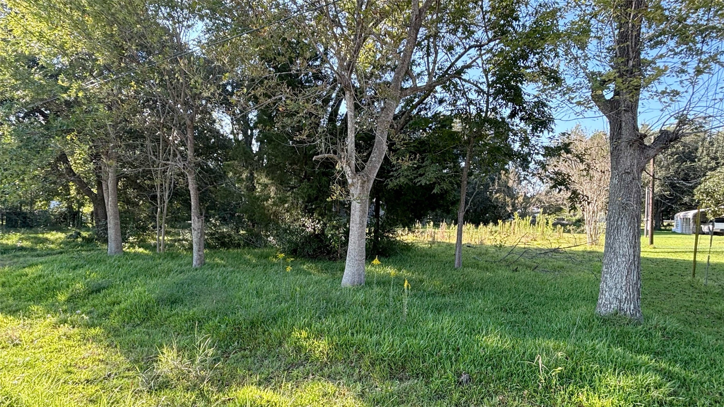 19101 Forest Street Property Photo 7