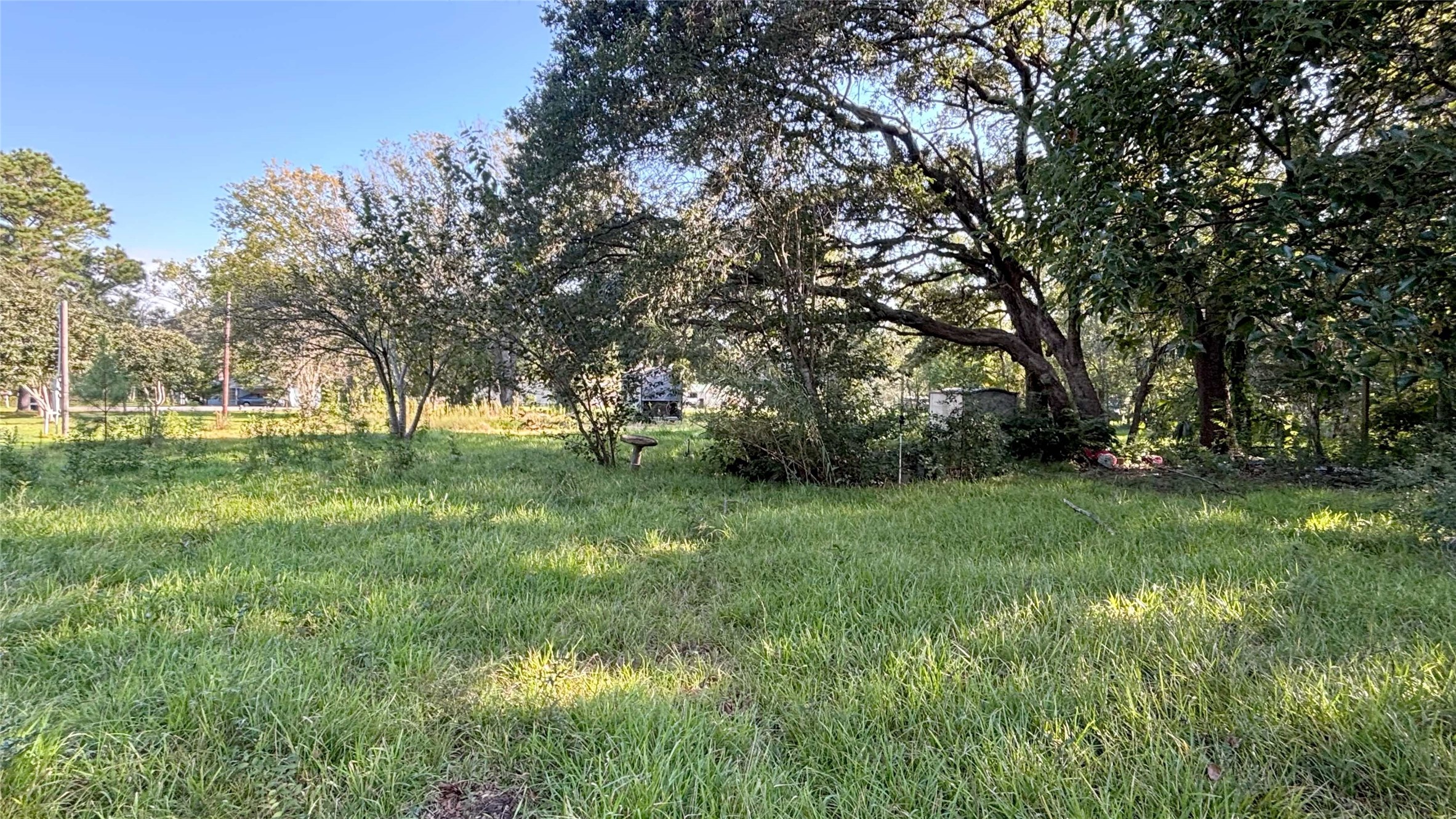 19101 Forest Street Property Photo 8