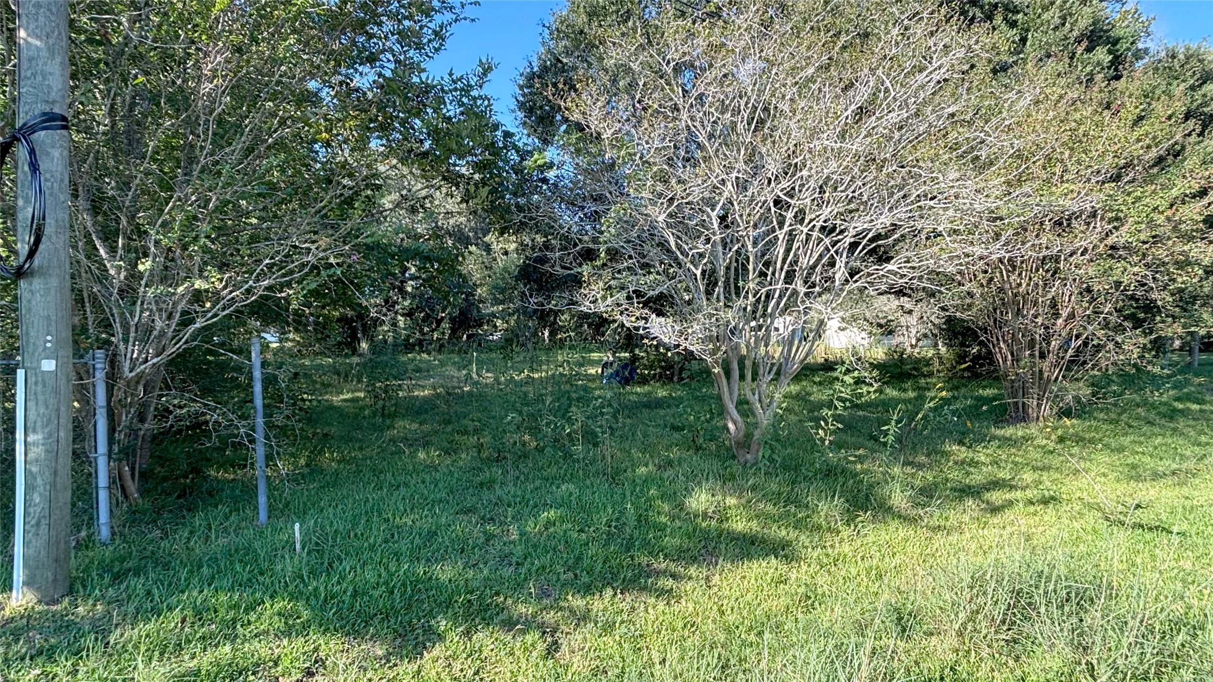 19101 Forest Street Property Photo 9