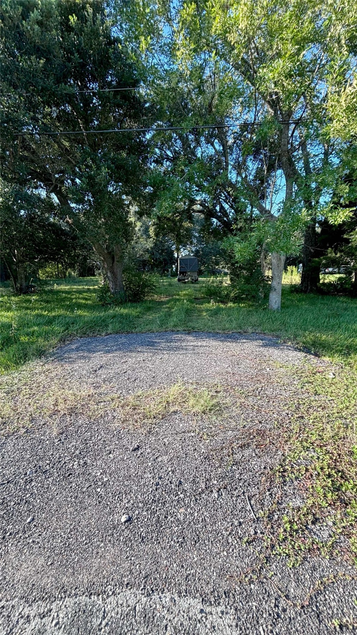 19101 Forest Street Property Photo 11