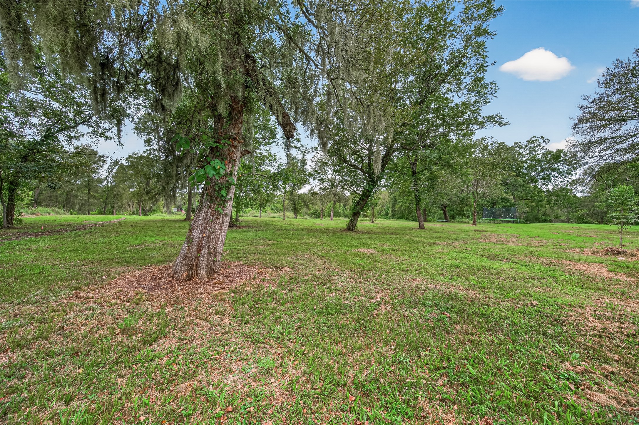 14720 Padre Court Property Photo 46