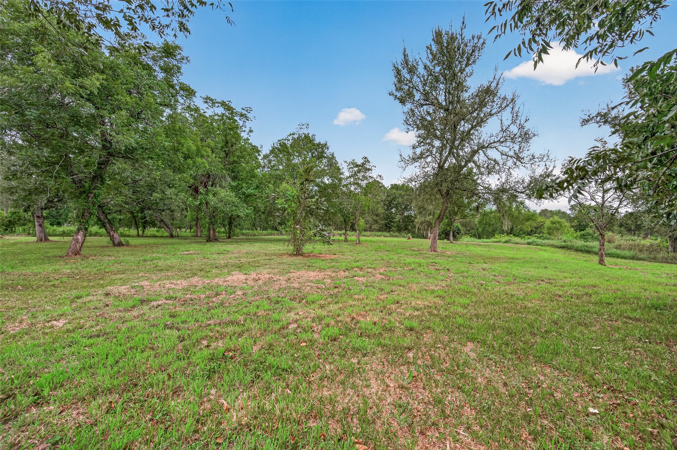 14720 Padre Court Property Photo 48