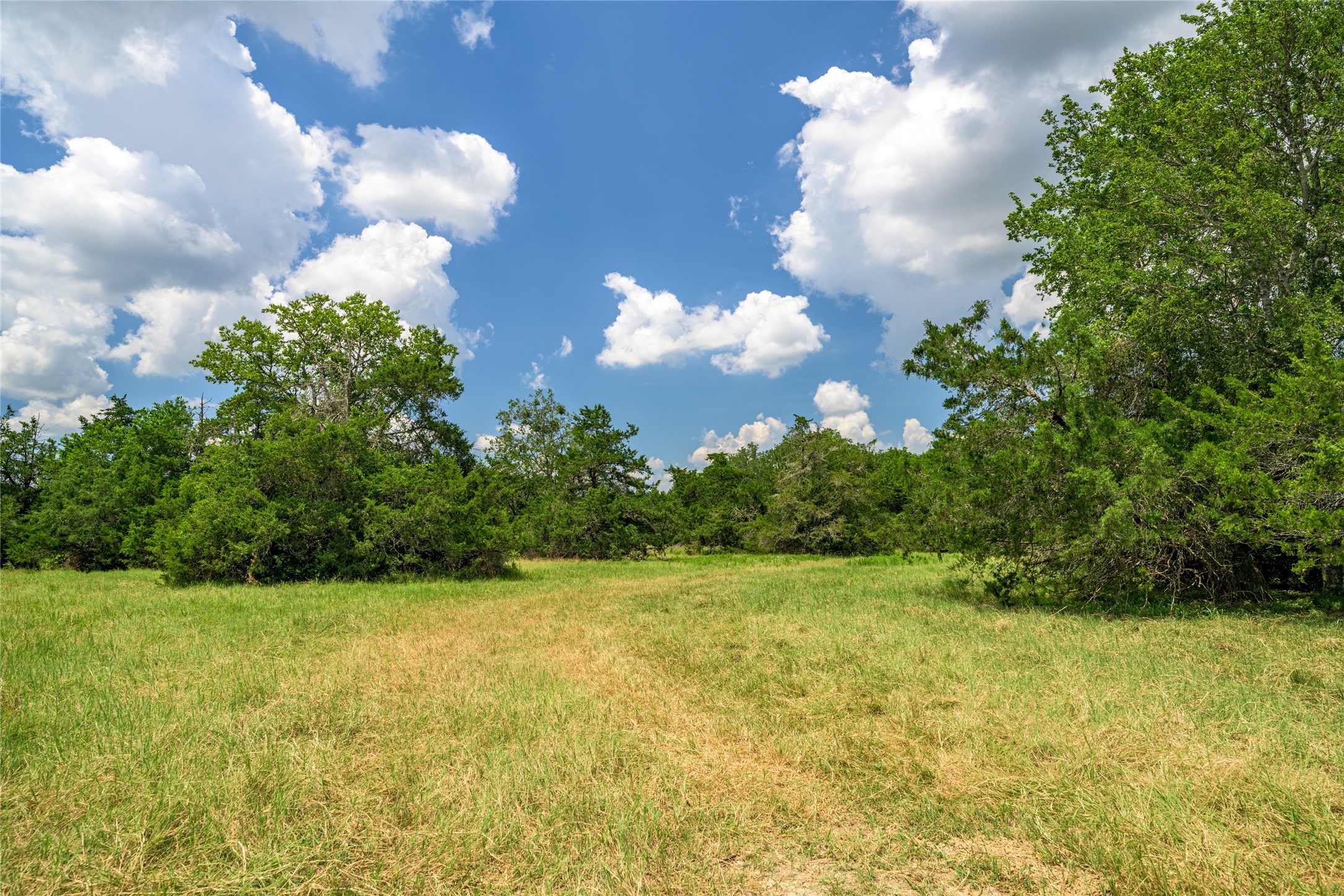 4900 Andreas Road Property Photo 3