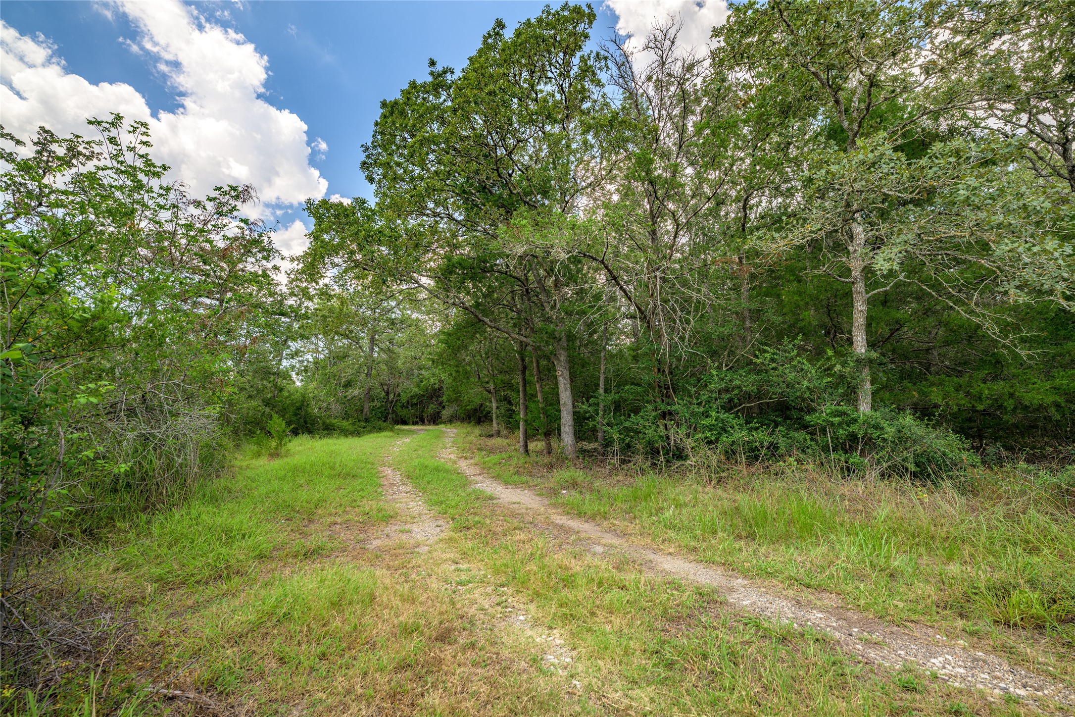 4900 Andreas Road Property Photo 5