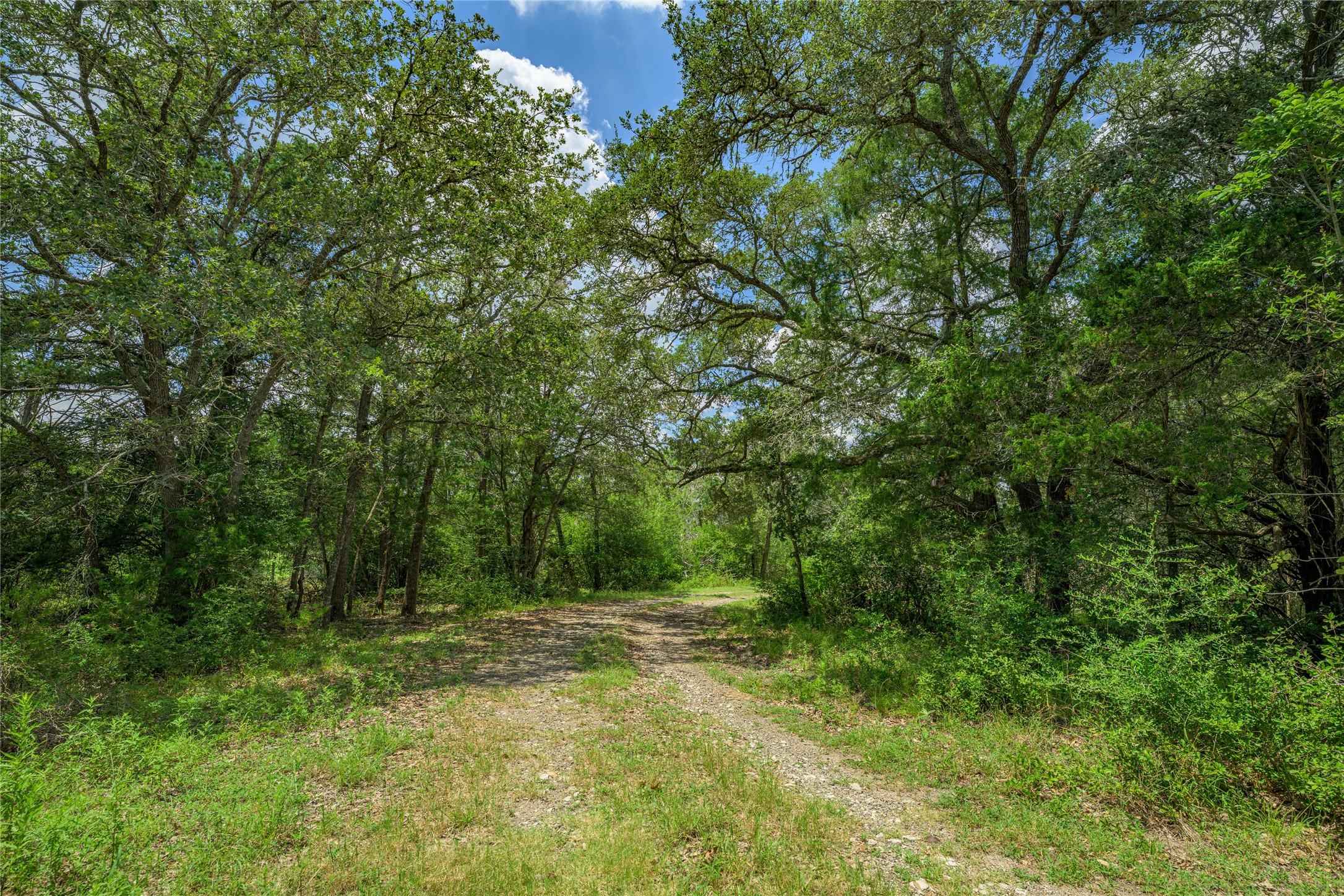 4900 Andreas Road Property Photo 12