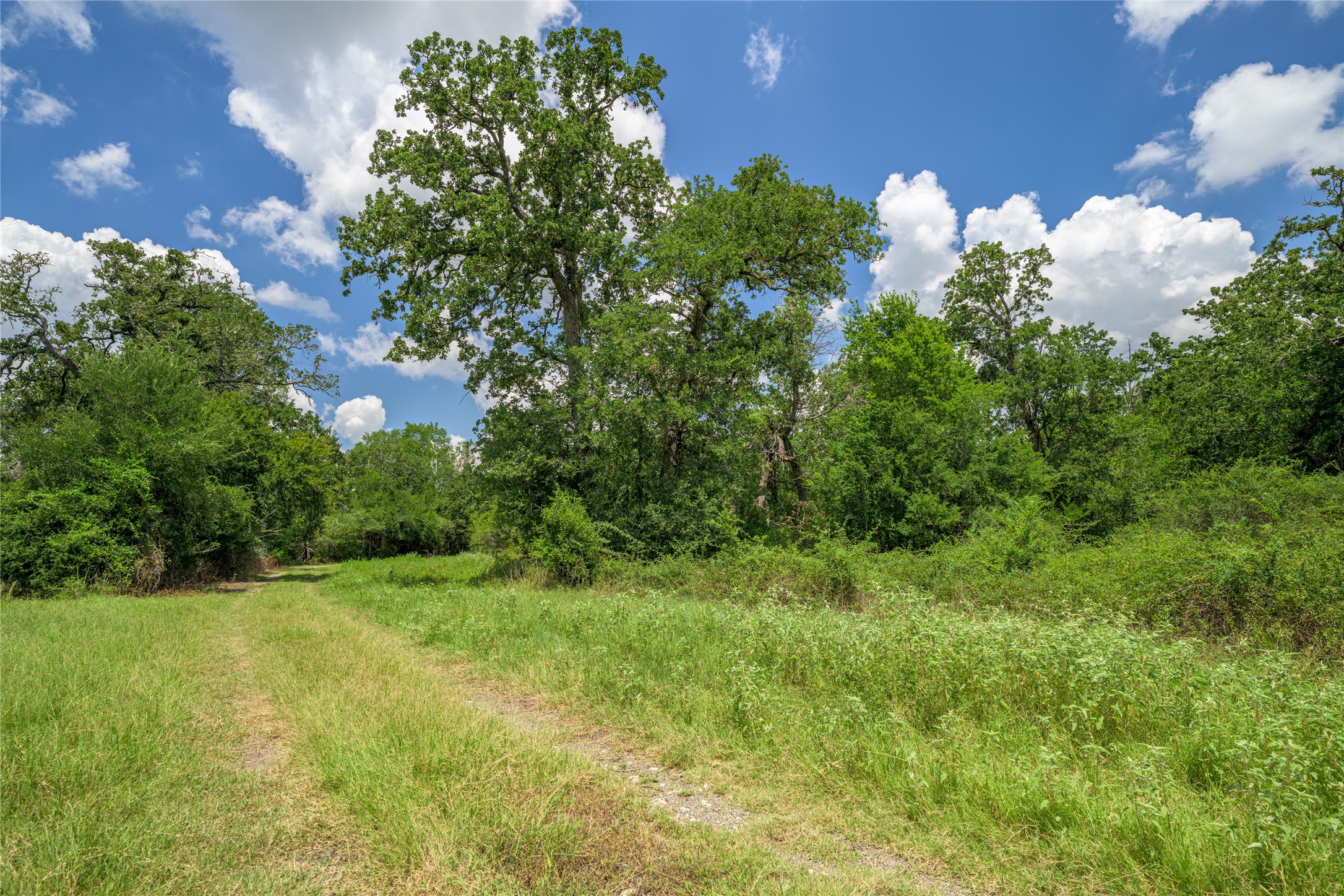 4900 Andreas Road Property Photo 13