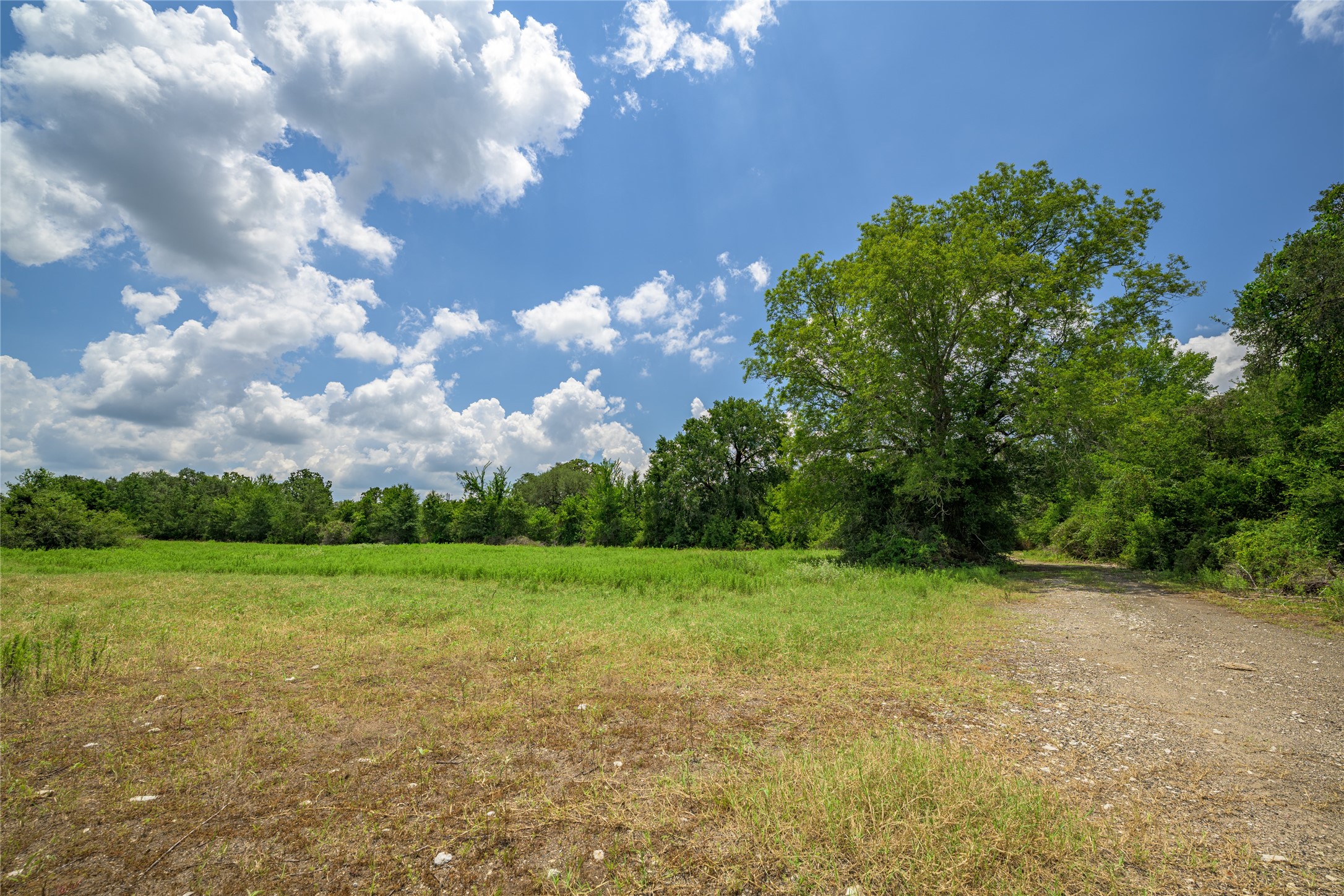 4900 Andreas Road Property Photo 14