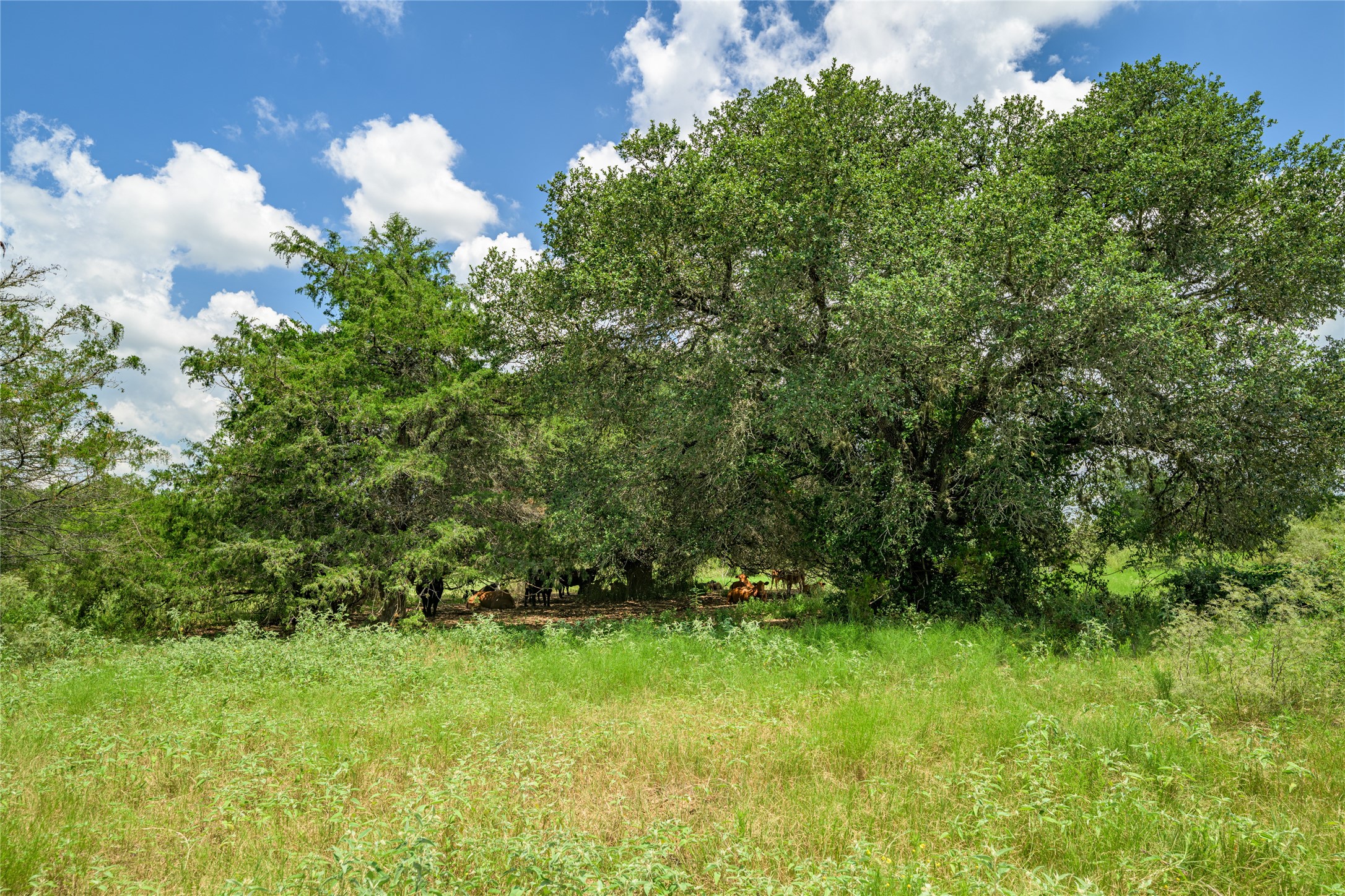 4900 Andreas Road Property Photo 18