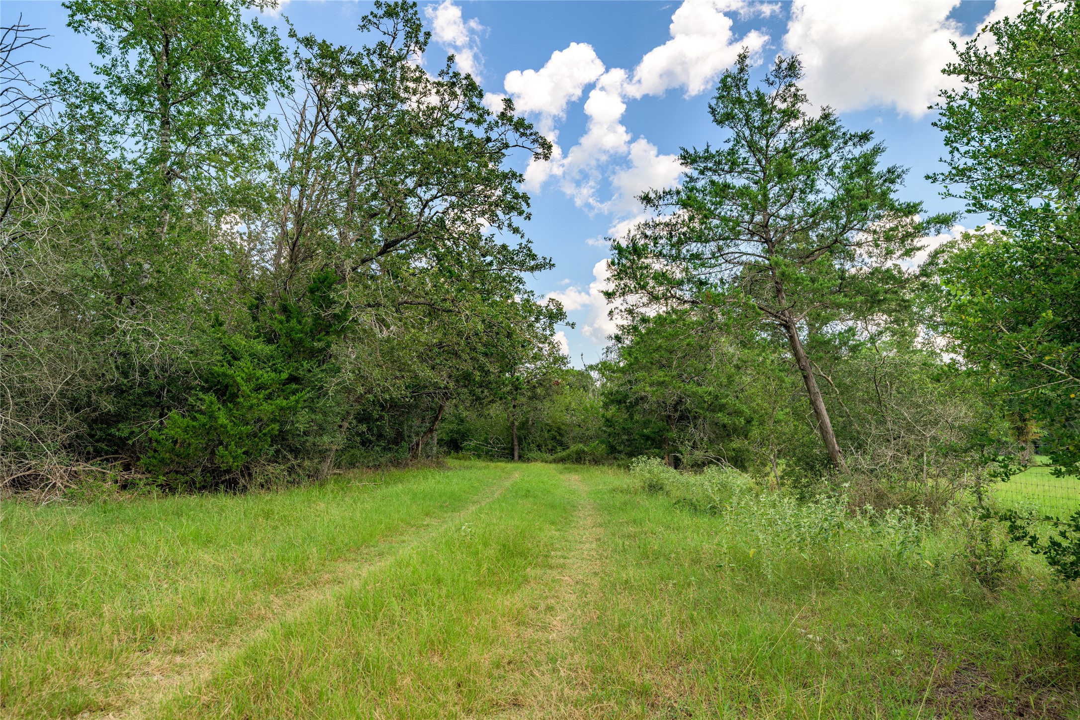 4900 Andreas Road Property Photo 19