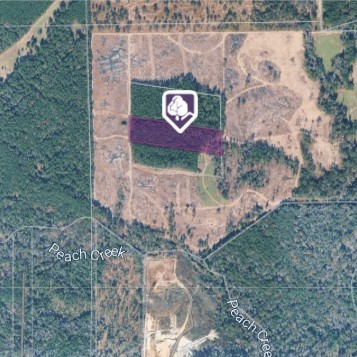 Tbd Morgan Cemetary Rd Property Photo 1