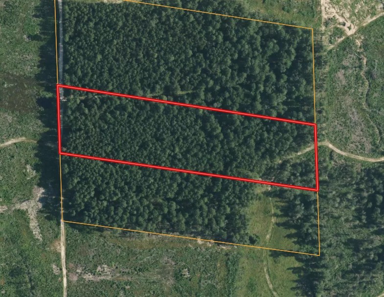 Tbd Morgan Cemetary Rd Property Photo 3