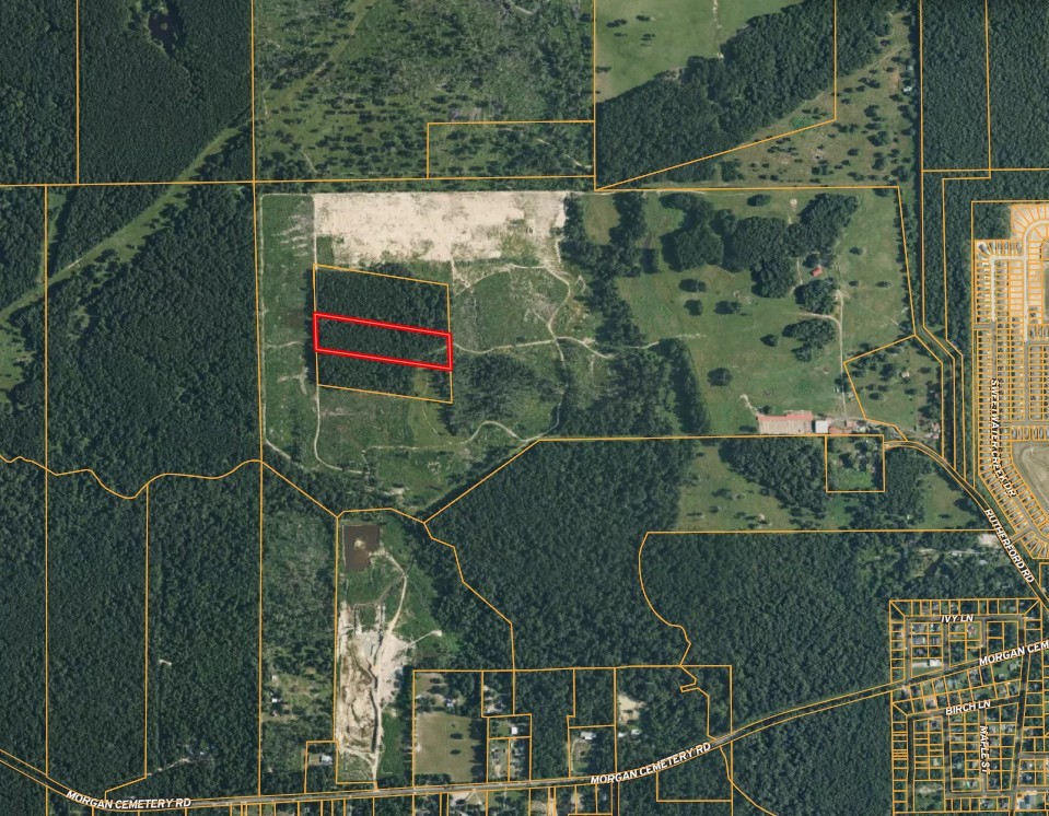 Tbd Morgan Cemetary Rd Property Photo 4