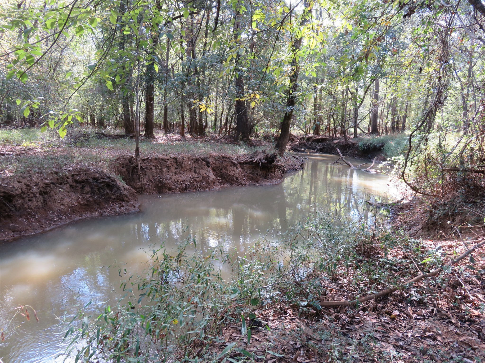 9795 Highway 59 Property Photo
