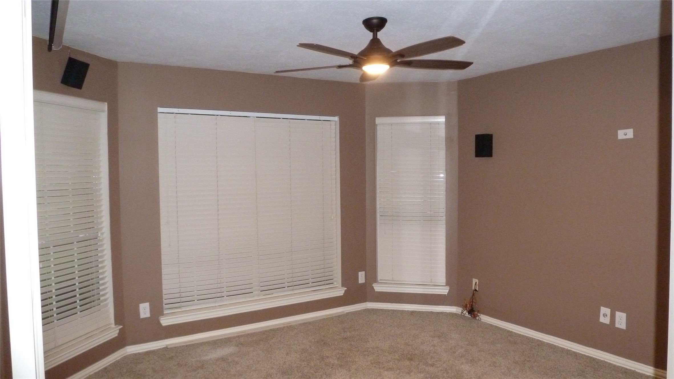4823 Cypress Spring Drive Property Photo 6