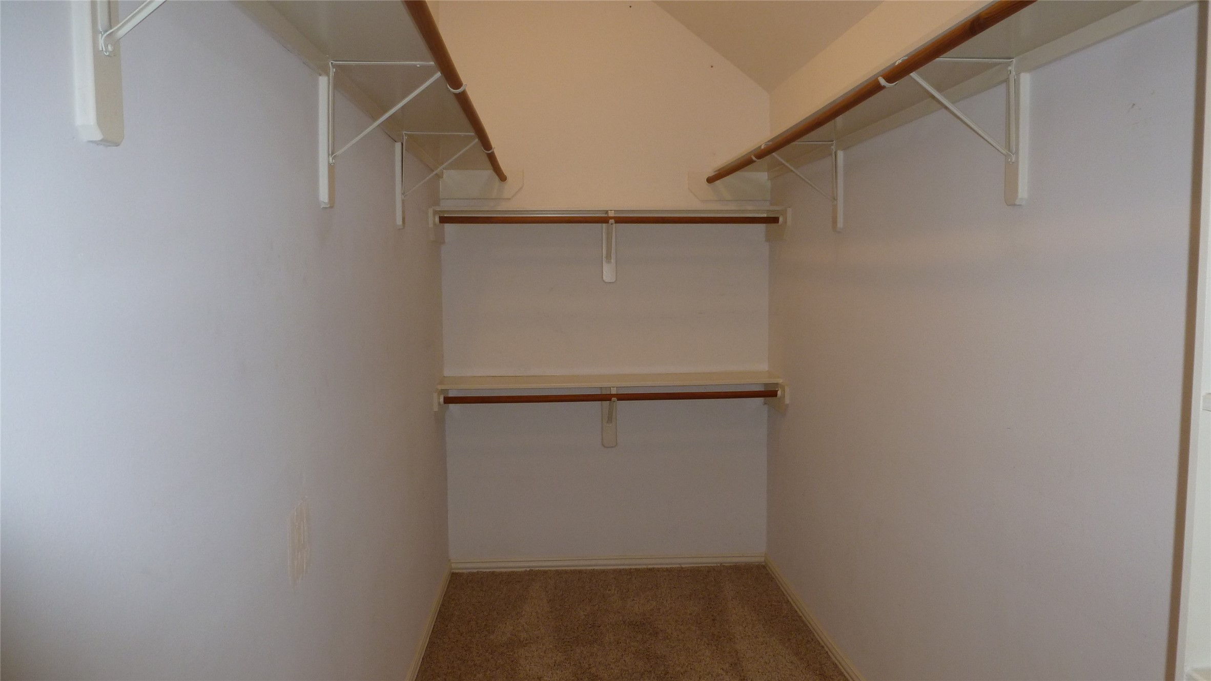 4823 Cypress Spring Drive Property Photo 19