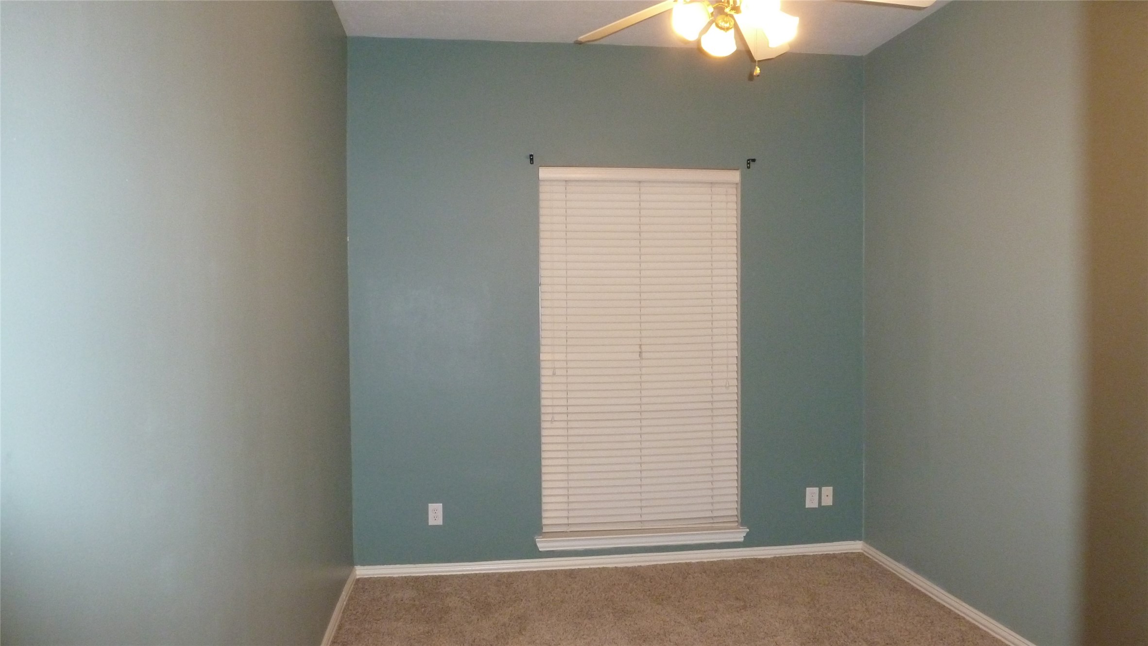 4823 Cypress Spring Drive Property Photo 21