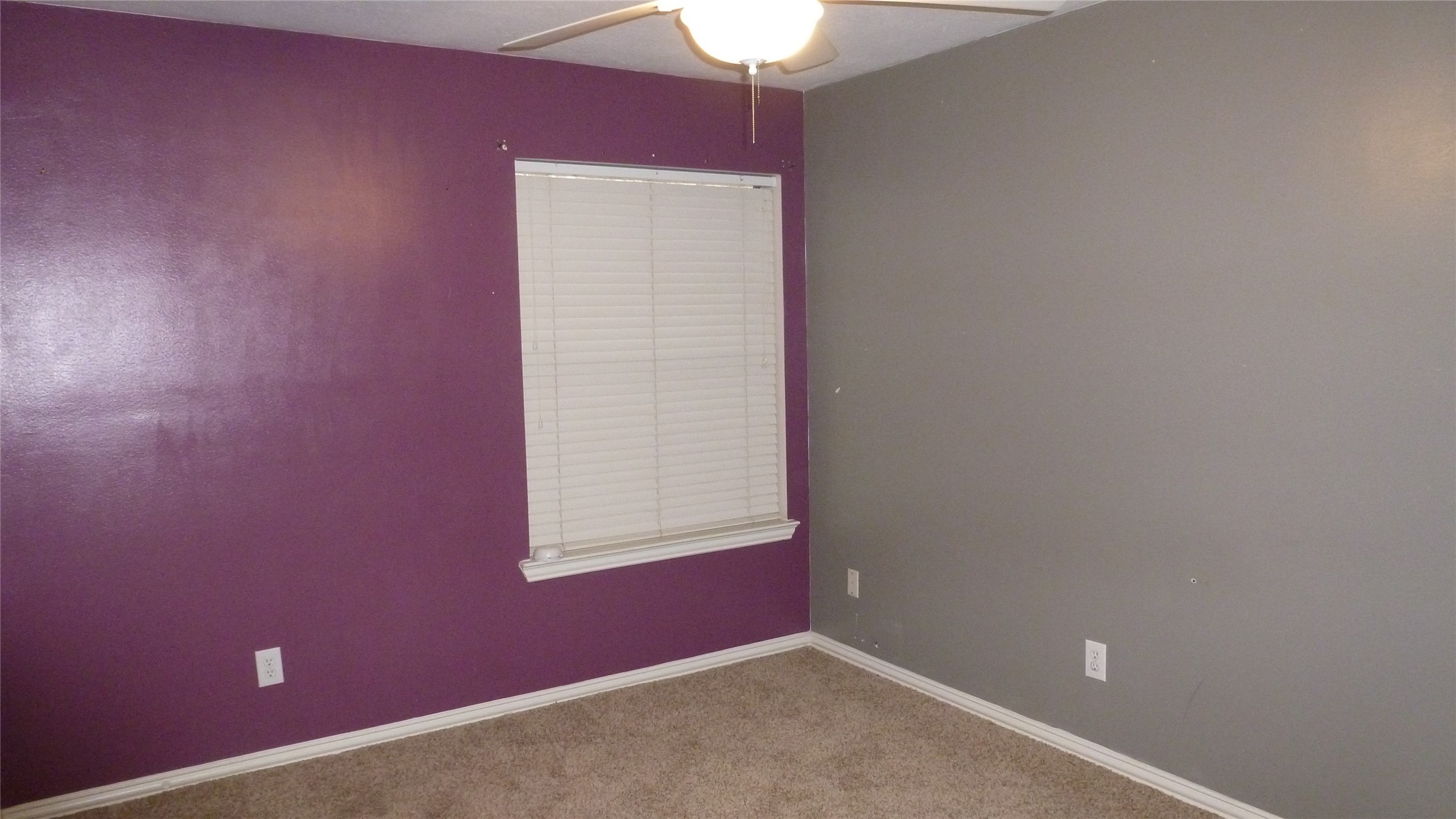 4823 Cypress Spring Drive Property Photo 24