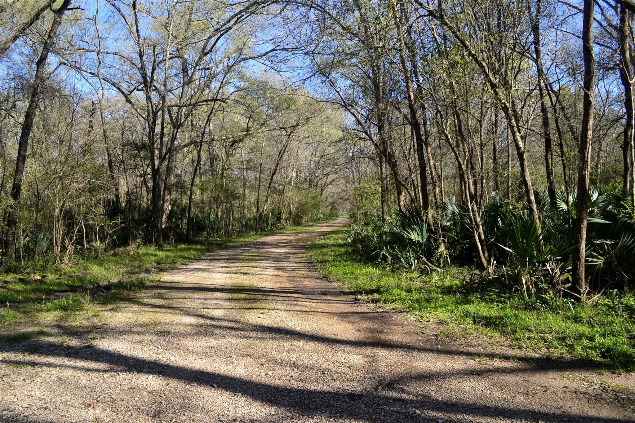 Lot 6 Lake Ranchettes Property Photo 1