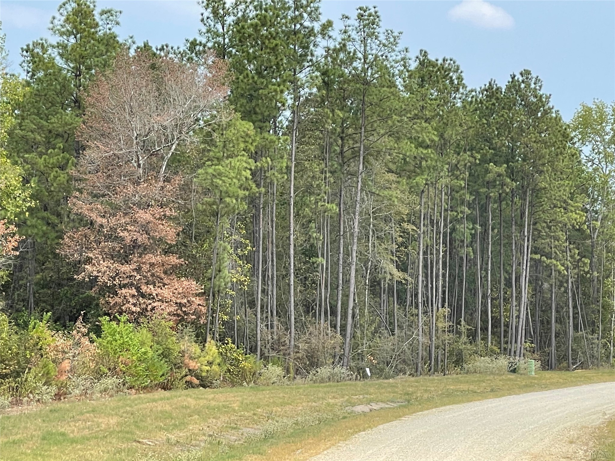 11623 Dawn Tree Lane Property Photo 6